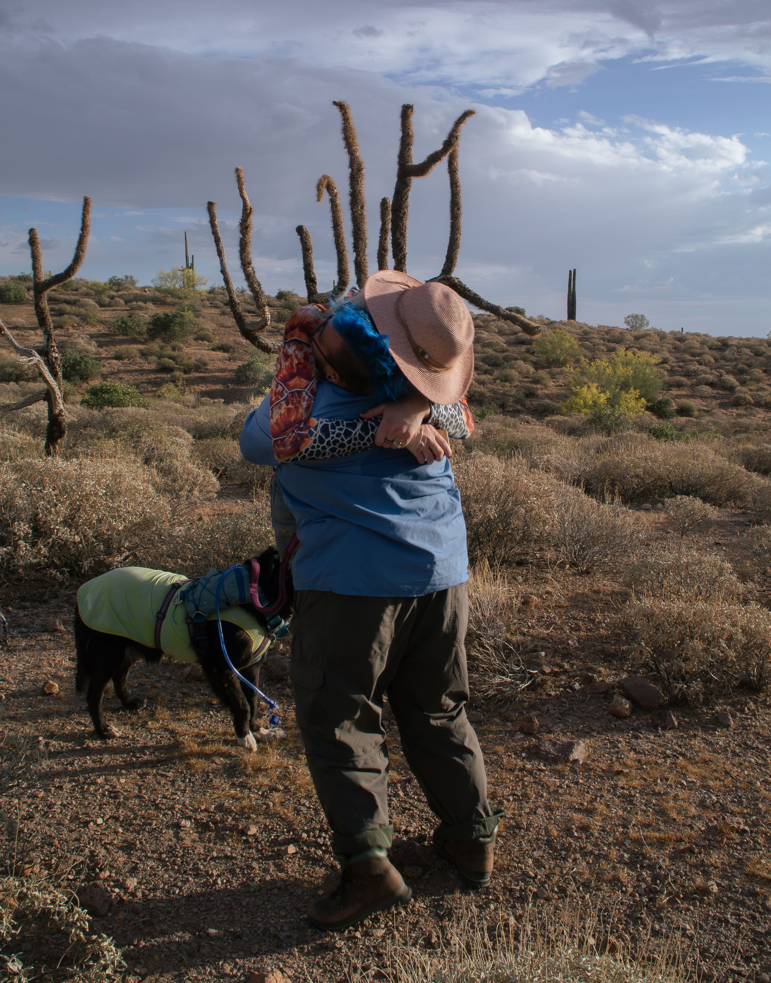 Apache Junction Proposal - S+ O-33.jpg
