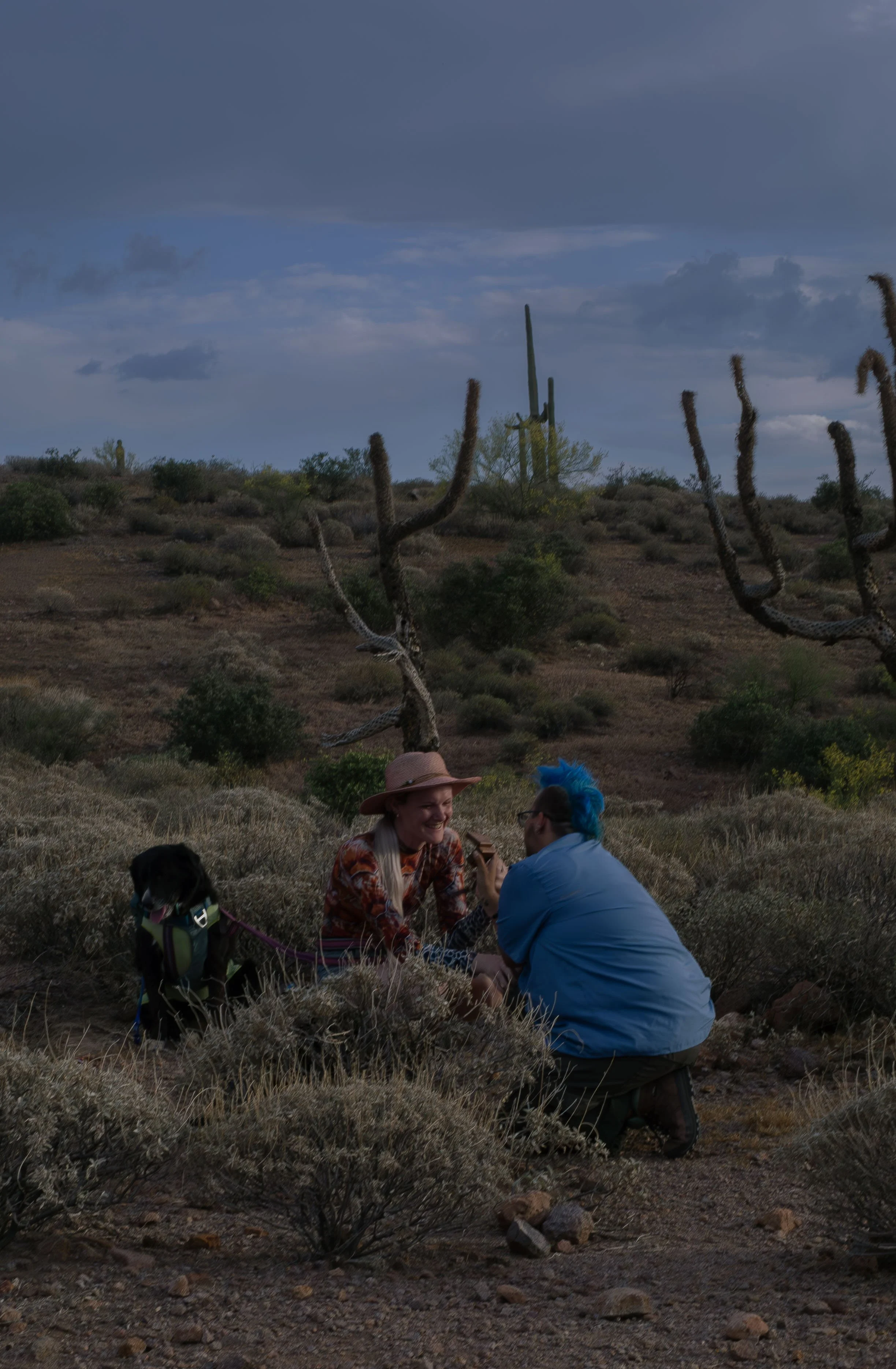 Apache Junction Proposal - S+ O-14.jpg