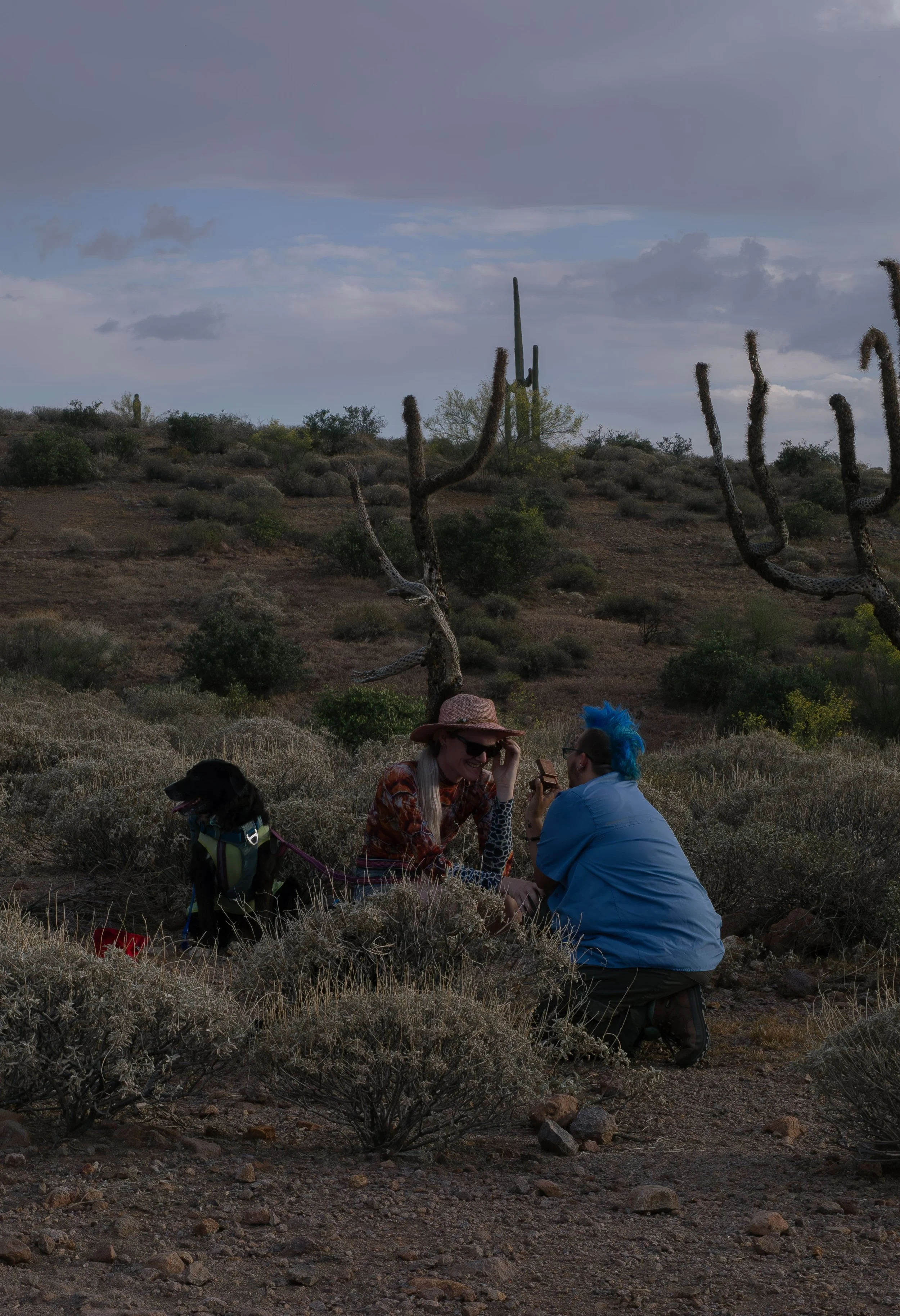 Apache Junction Proposal - S+ O-13.jpg