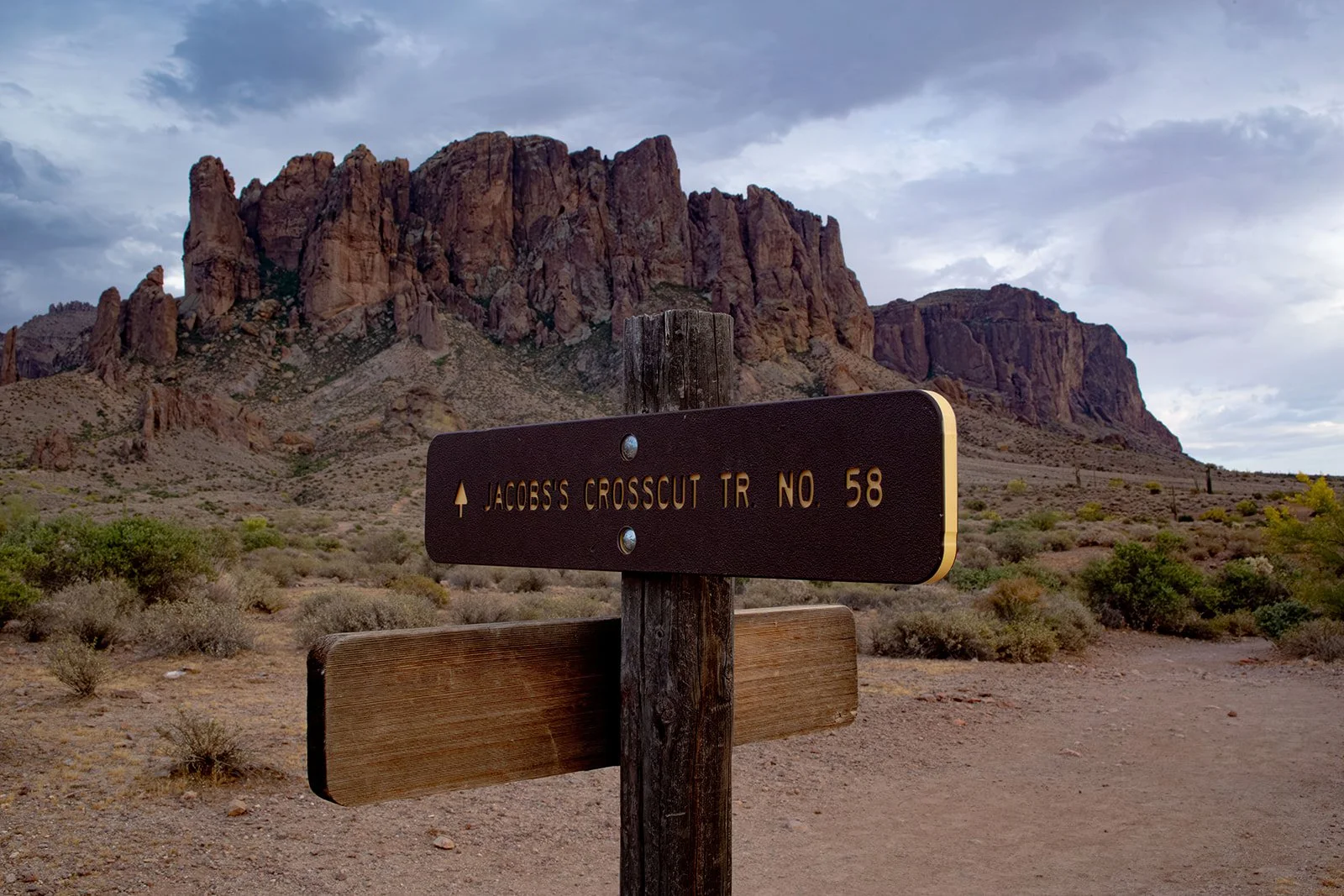Lost Dutchman Proposal Photography-4.jpg
