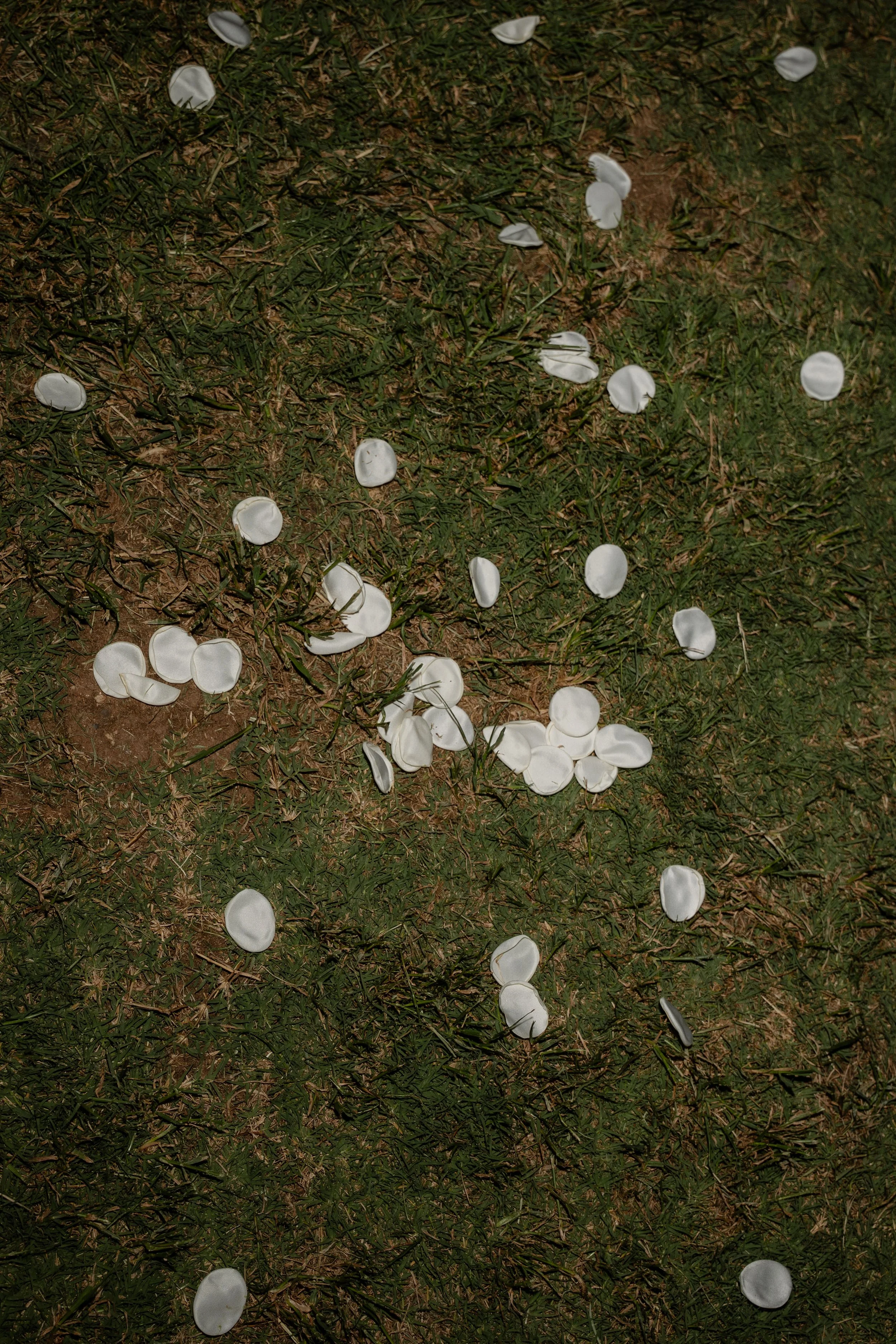 Phoenix Backyard Wedding (H+J)-380.jpg