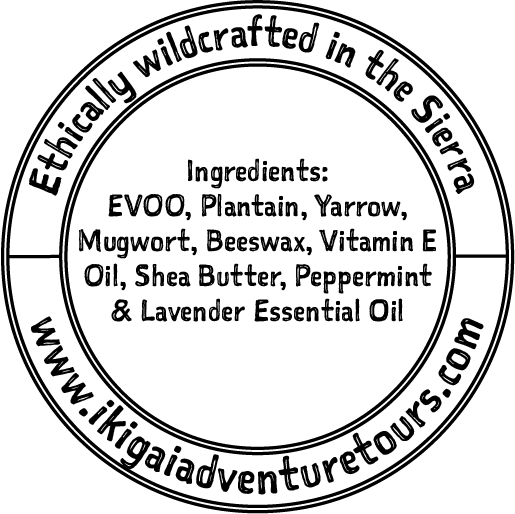 Plantain Salve back Label v2.png