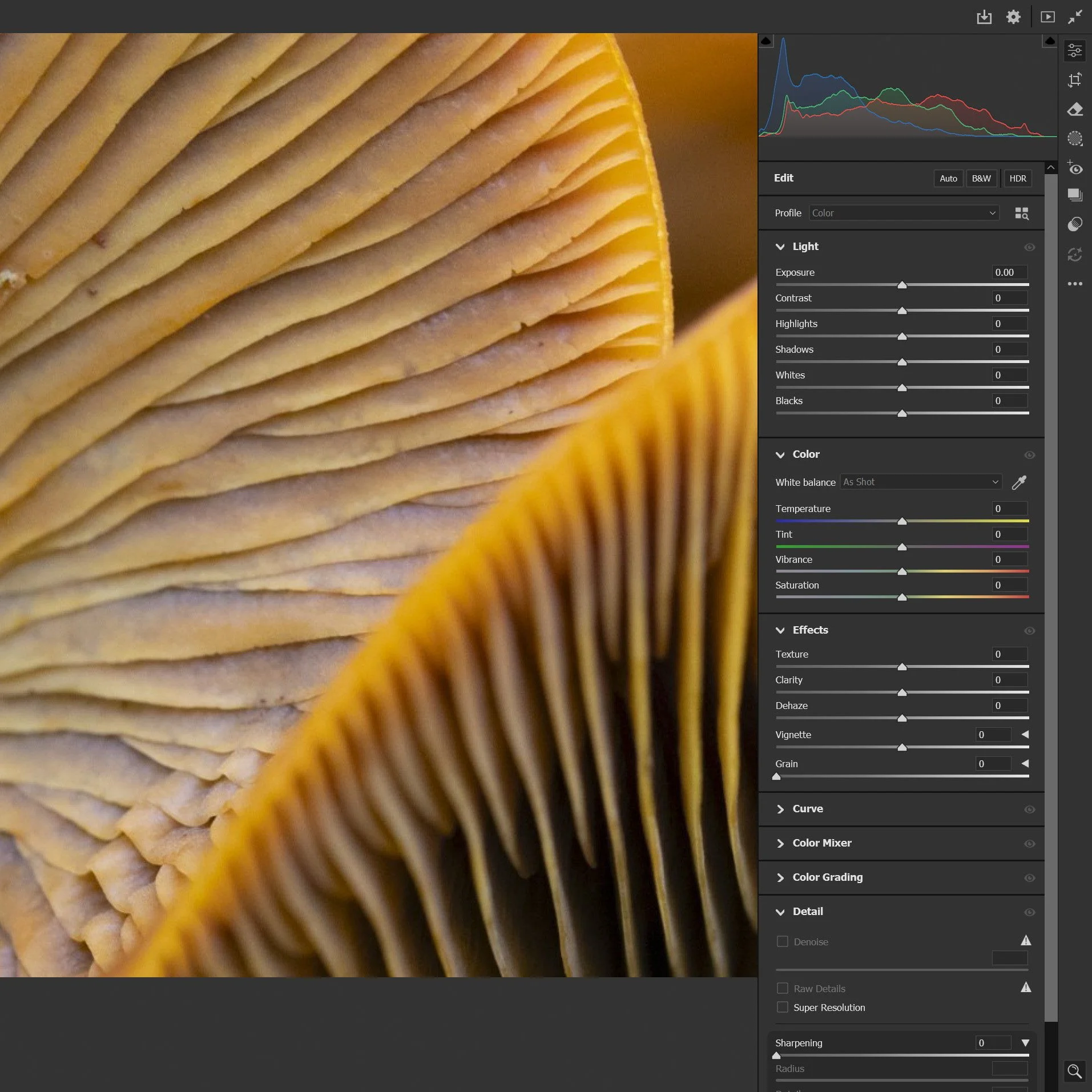 Private Online Portfolio Review and Editing Classes