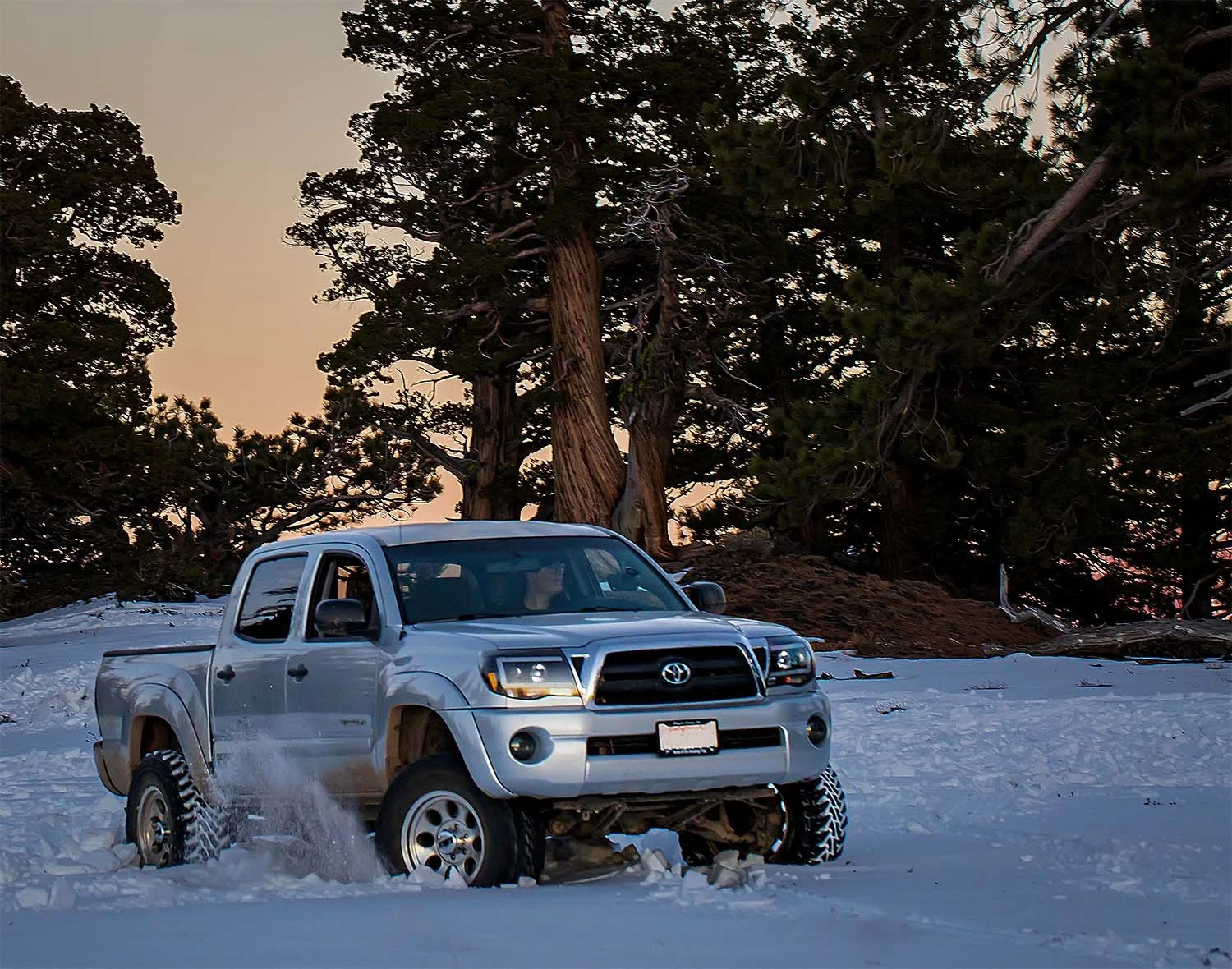 A silver Toyota Tacoma pickup truck driving through snowy terrain with large trees in the background during sunset on a private off-road training tour.