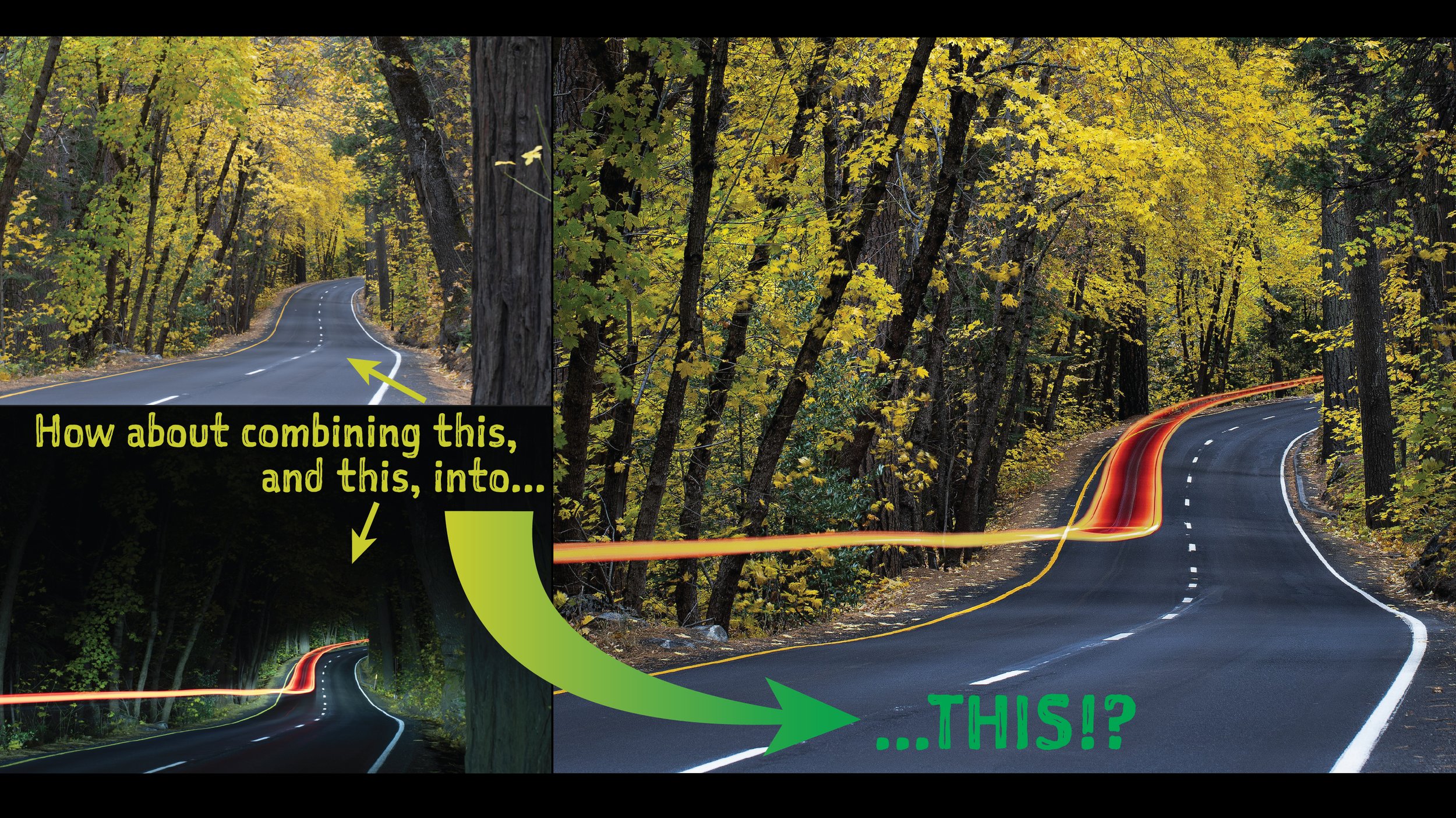 Yosemite tailights graphic with type.jpg