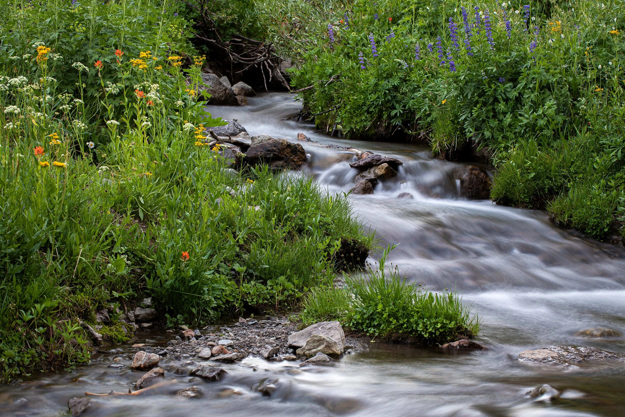 Spring - Beauty of the Sierra Nevada's