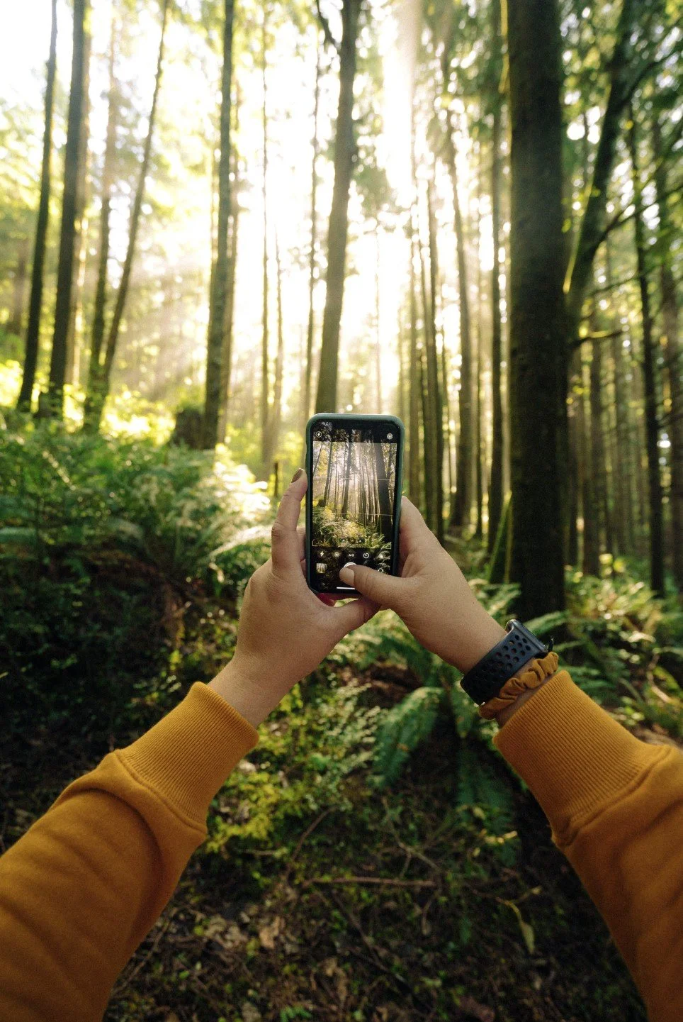 Smartphone Nature Photo Classes: | Weekends July & August 2026