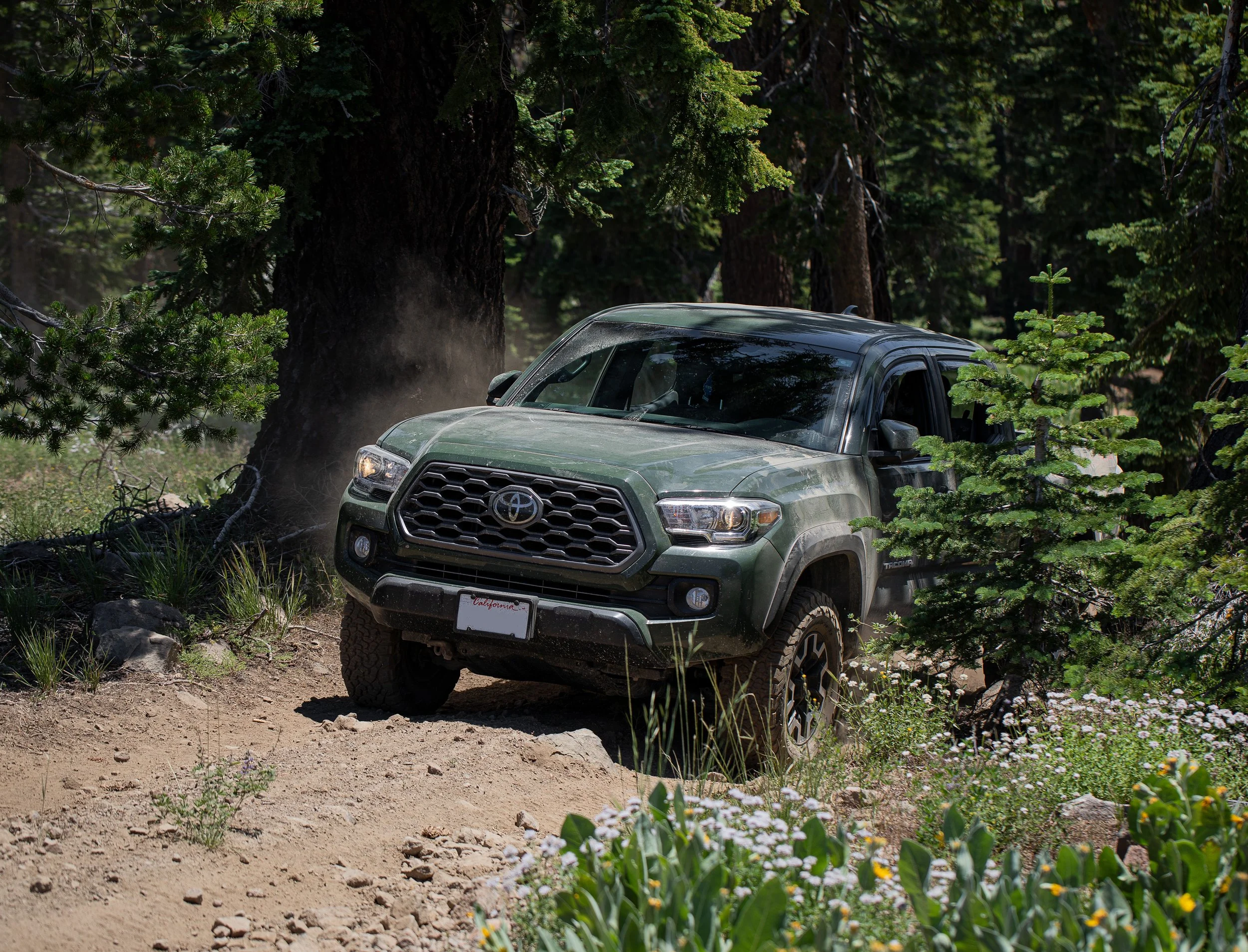 green tacoma trees after high pas soft.jpg