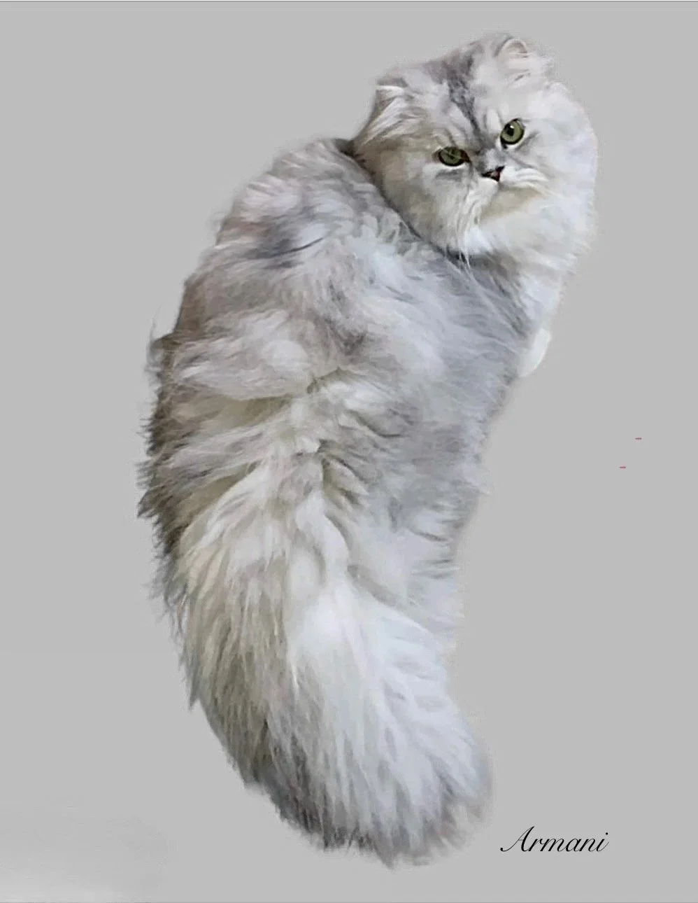 Facetune_01-05-2026-14-47-12.jpg
