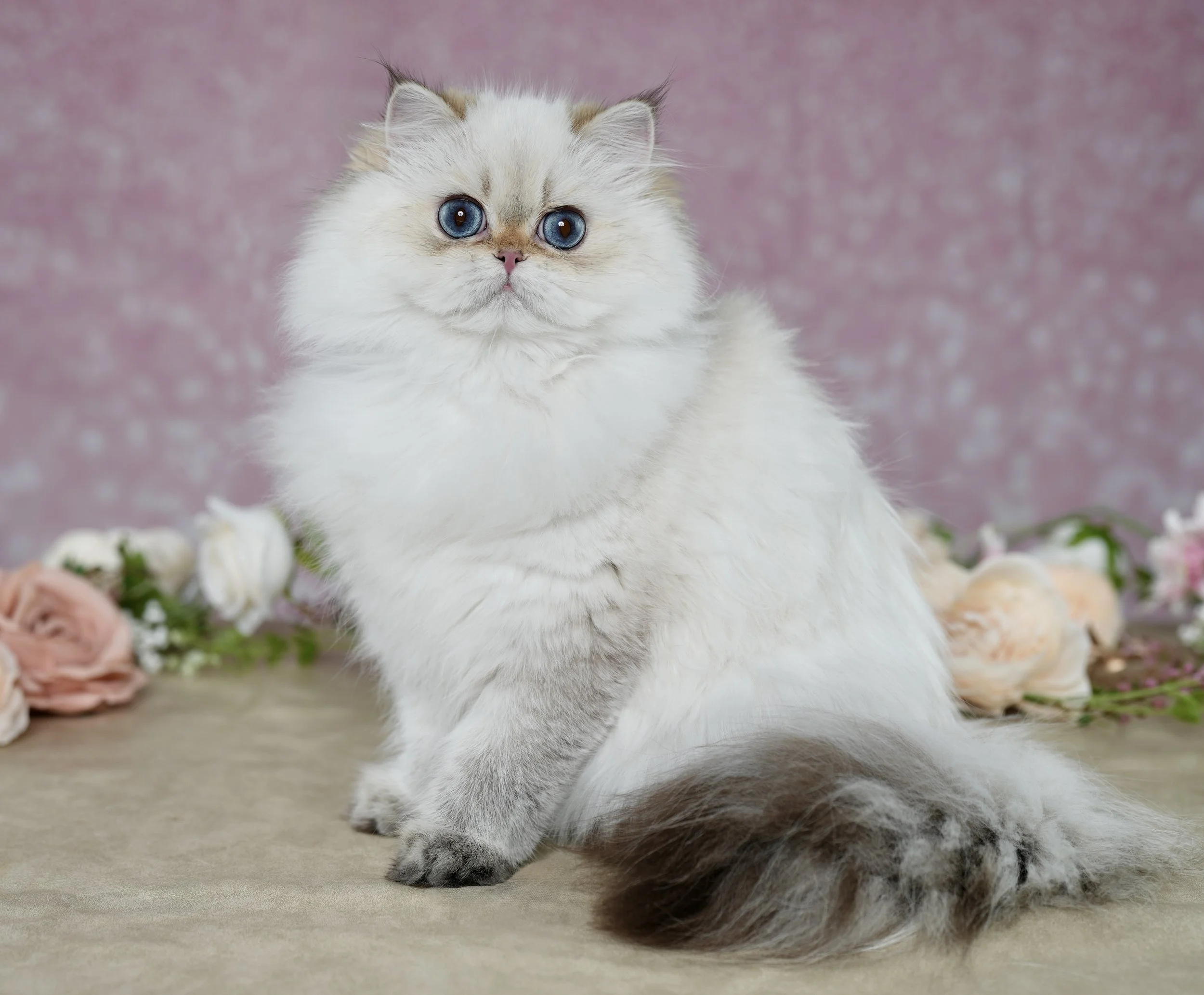 93FA459D-0DD3-4120-9B67-14909F2CFFAF.jpeg