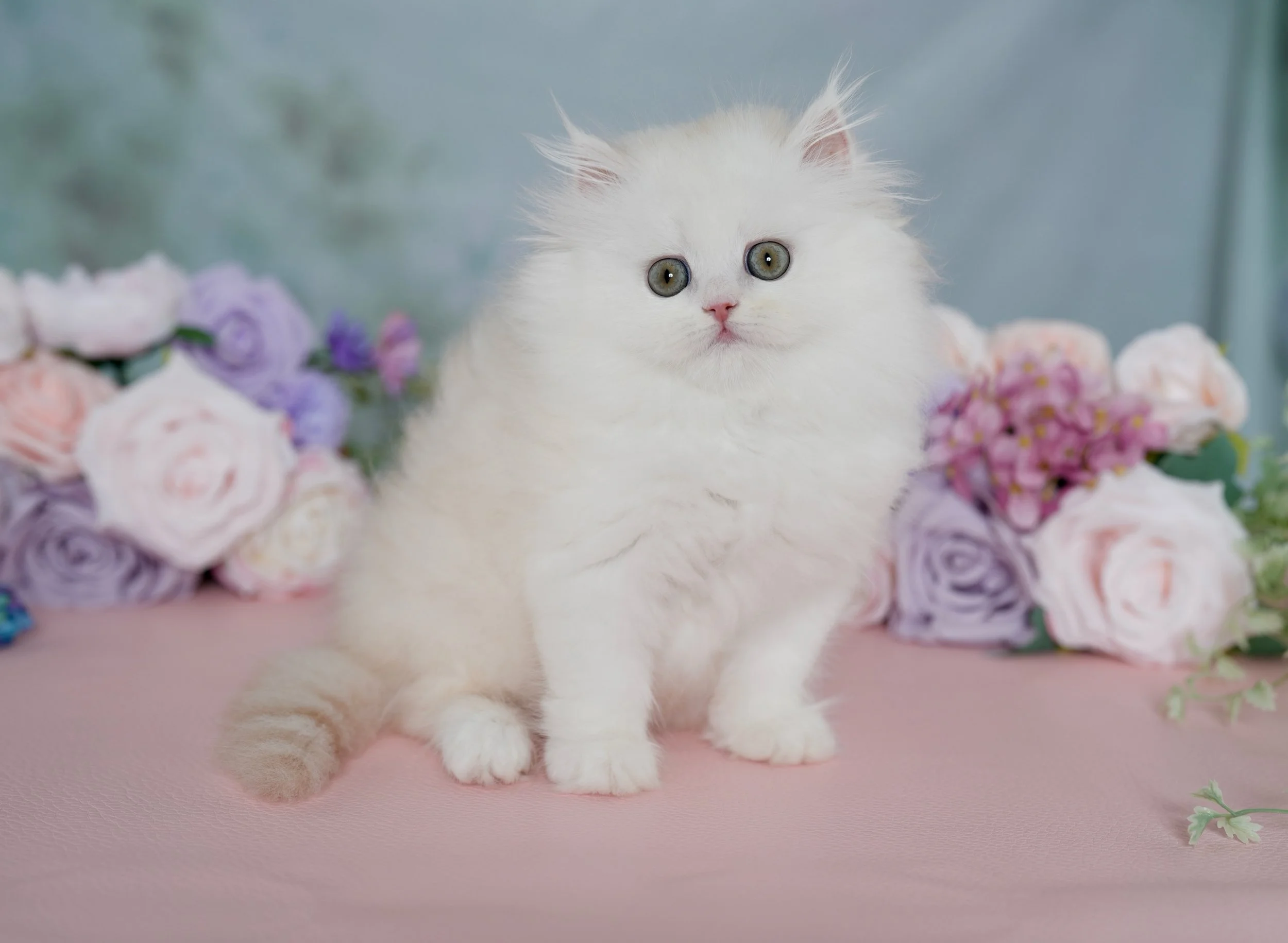 Facetune_13-05-2026-19-46-38.jpeg