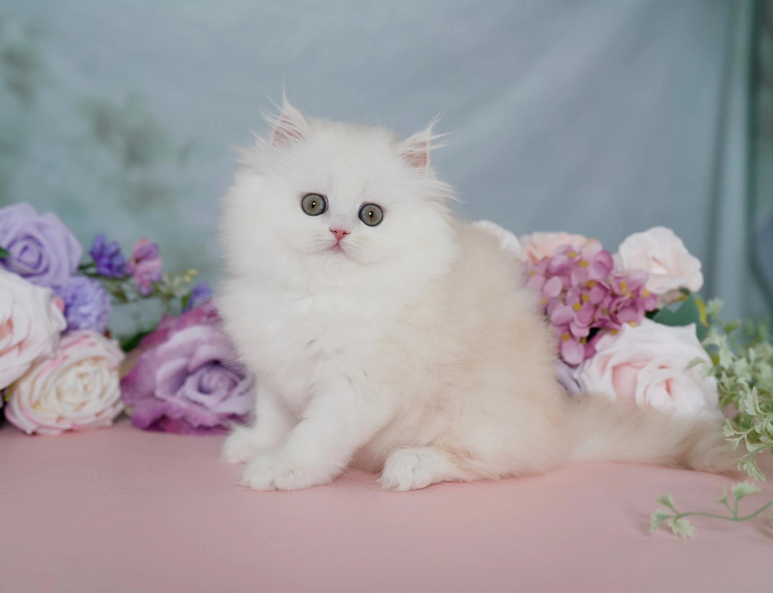 Facetune_13-05-2026-19-34-30.jpeg