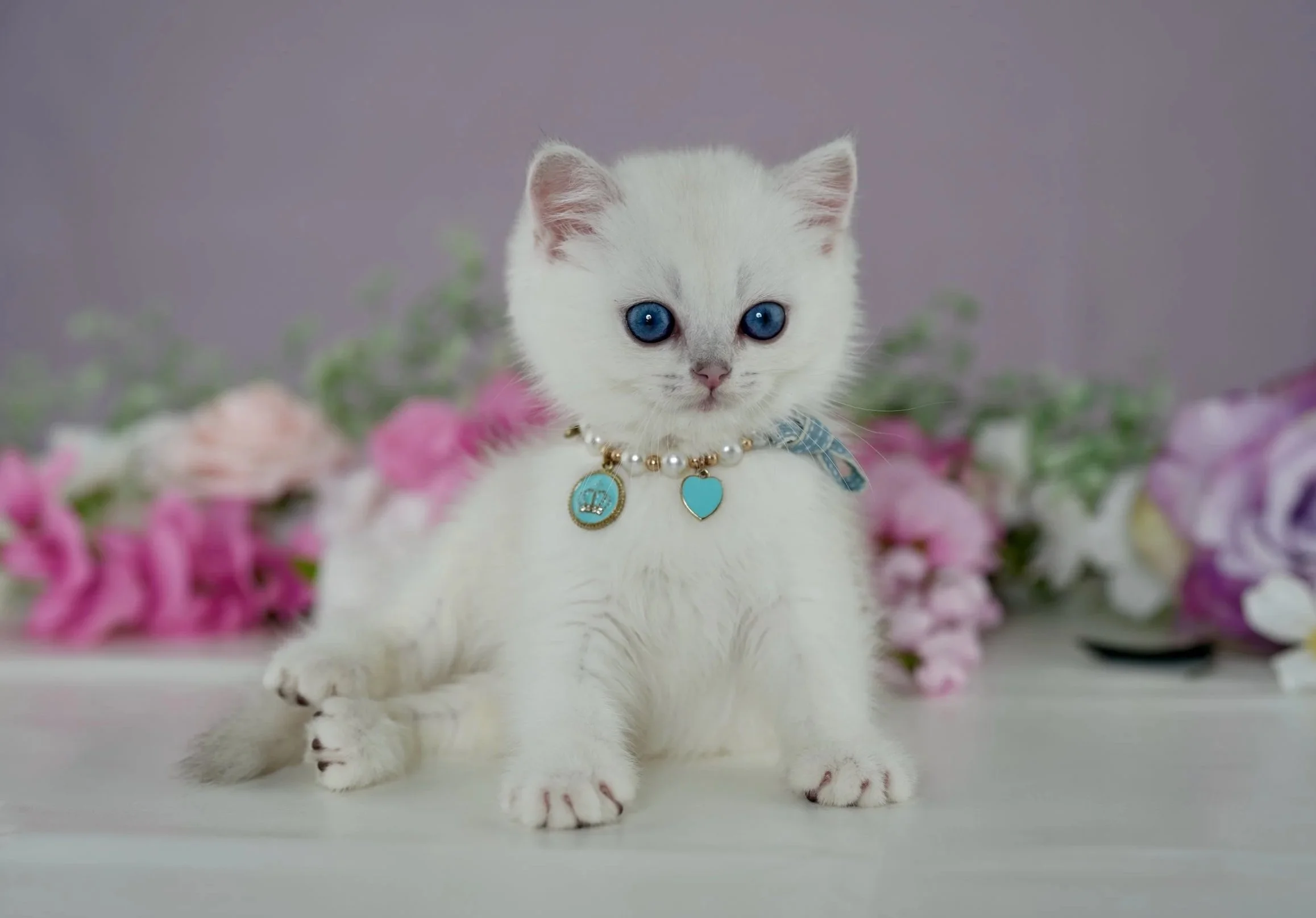 Facetune_05-10-2026-16-13-17+2.jpg