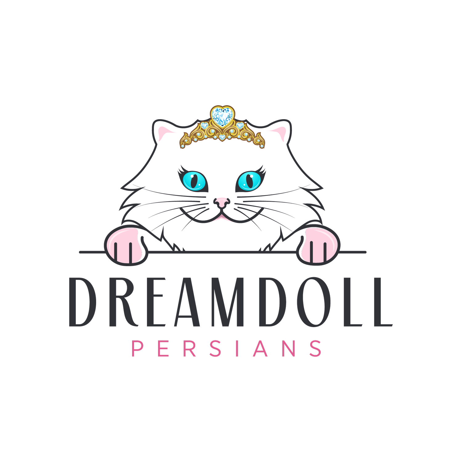 Dreamdoll Persians