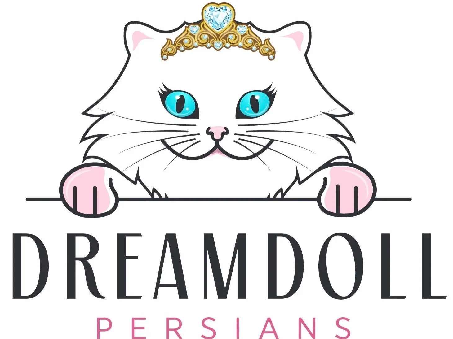 Dreamdoll Persians