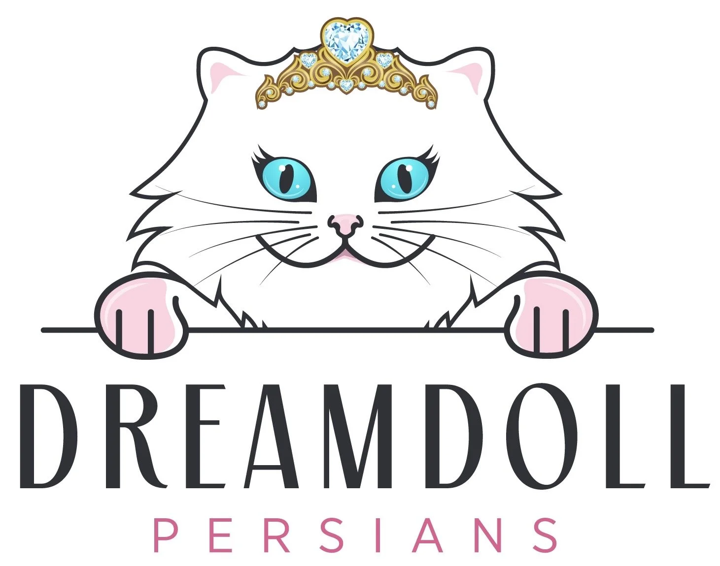 Dreamdoll Persians