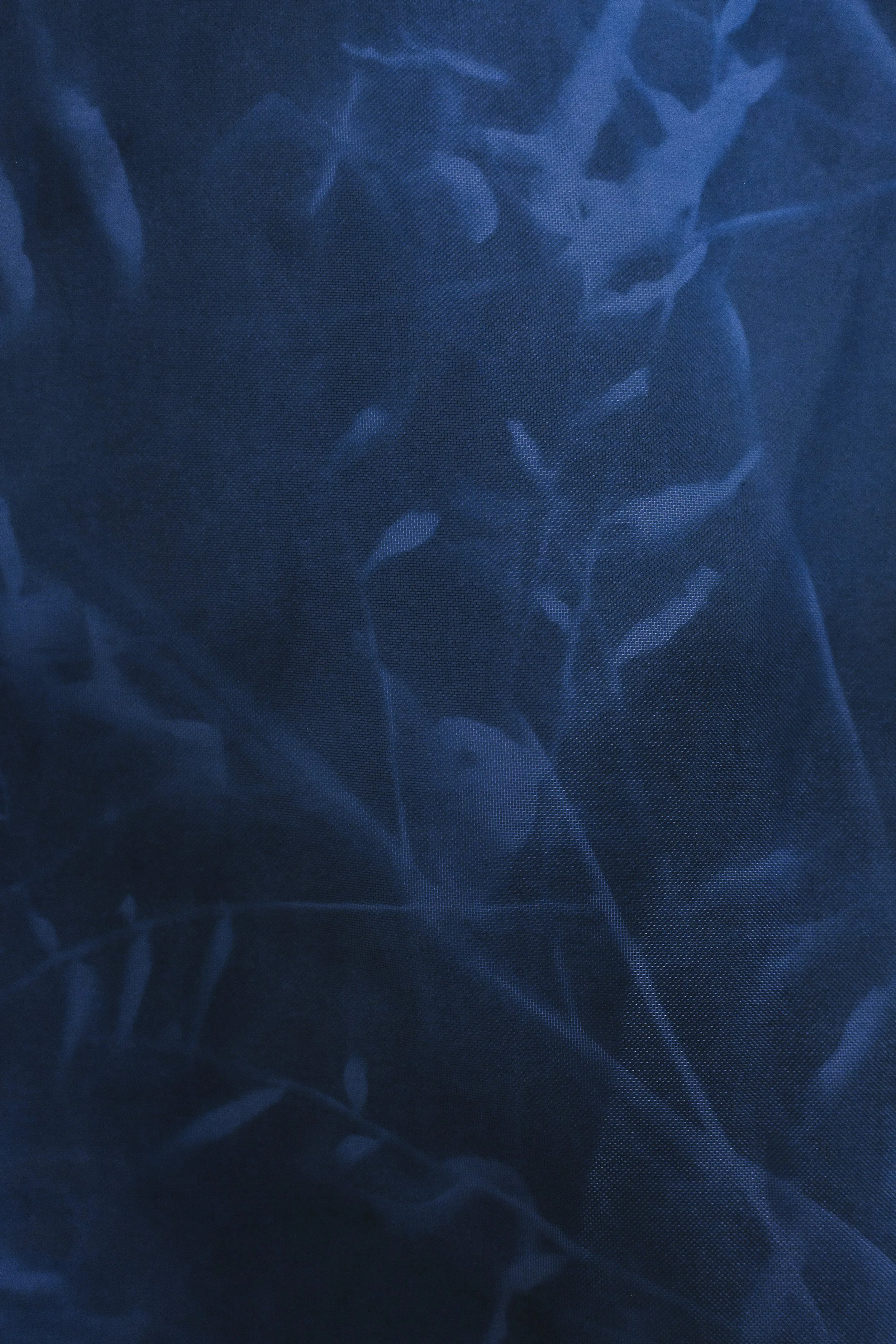 Everything Echoes Print No.1