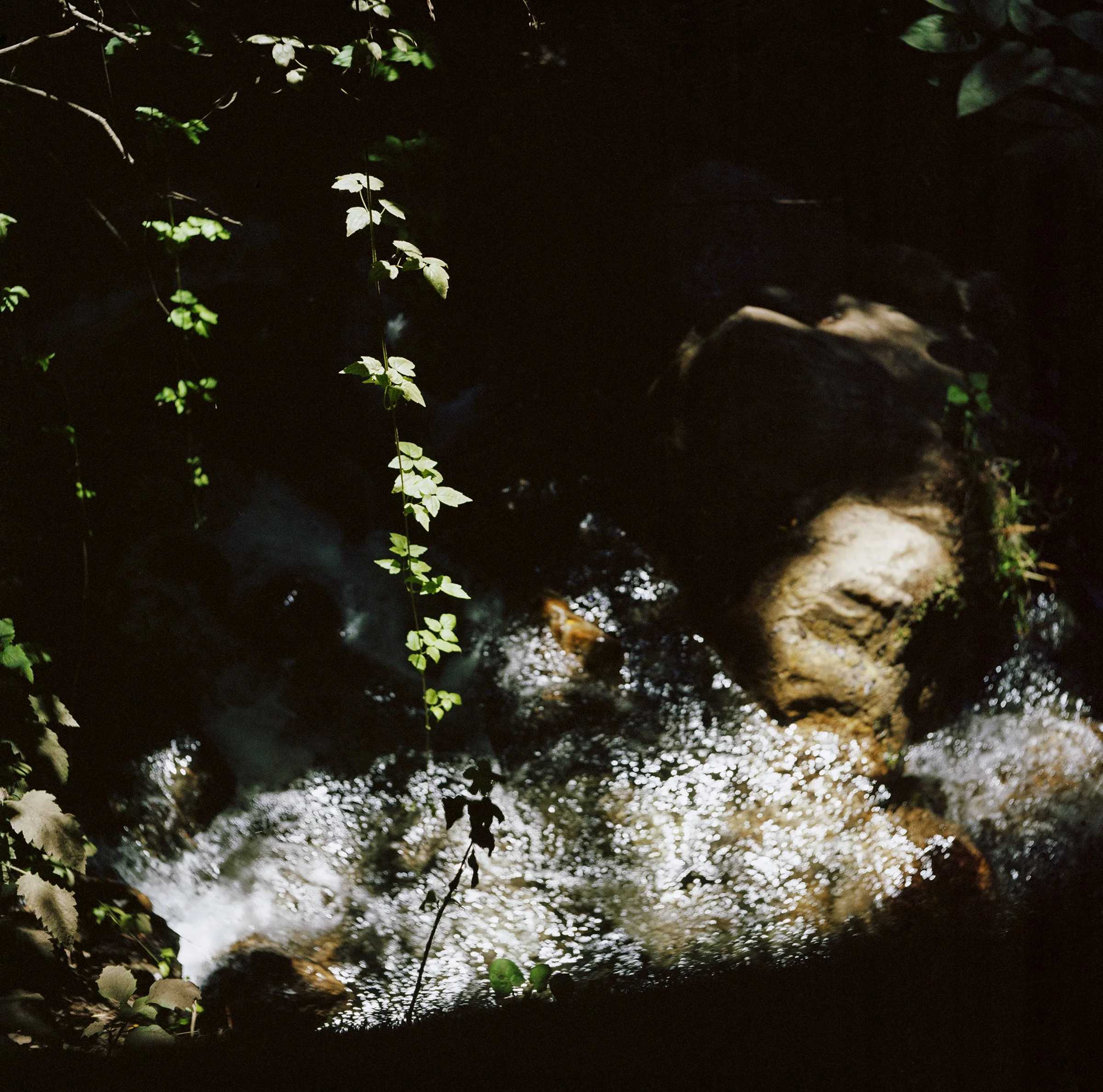 Big Sur