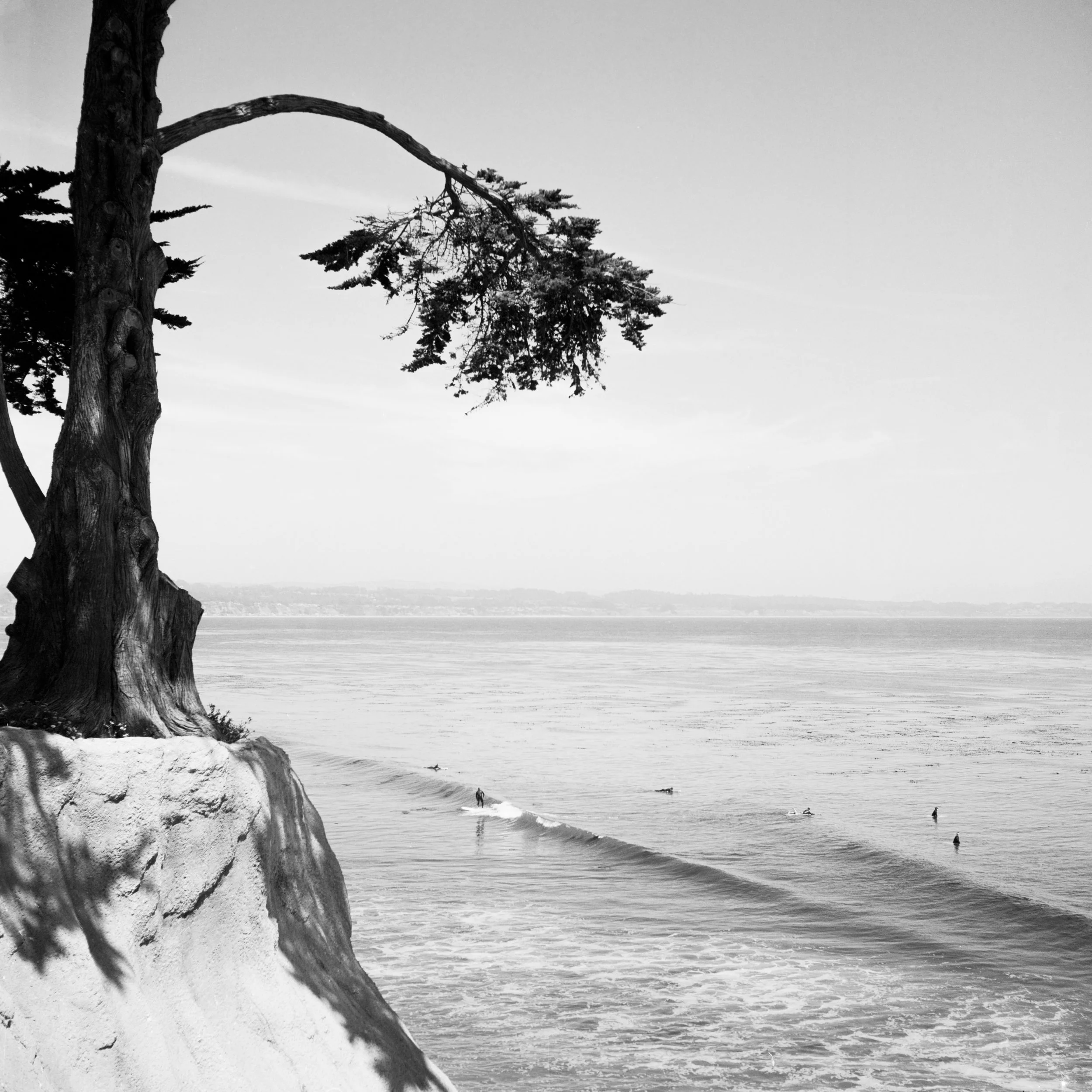 Santa Cruz, CA