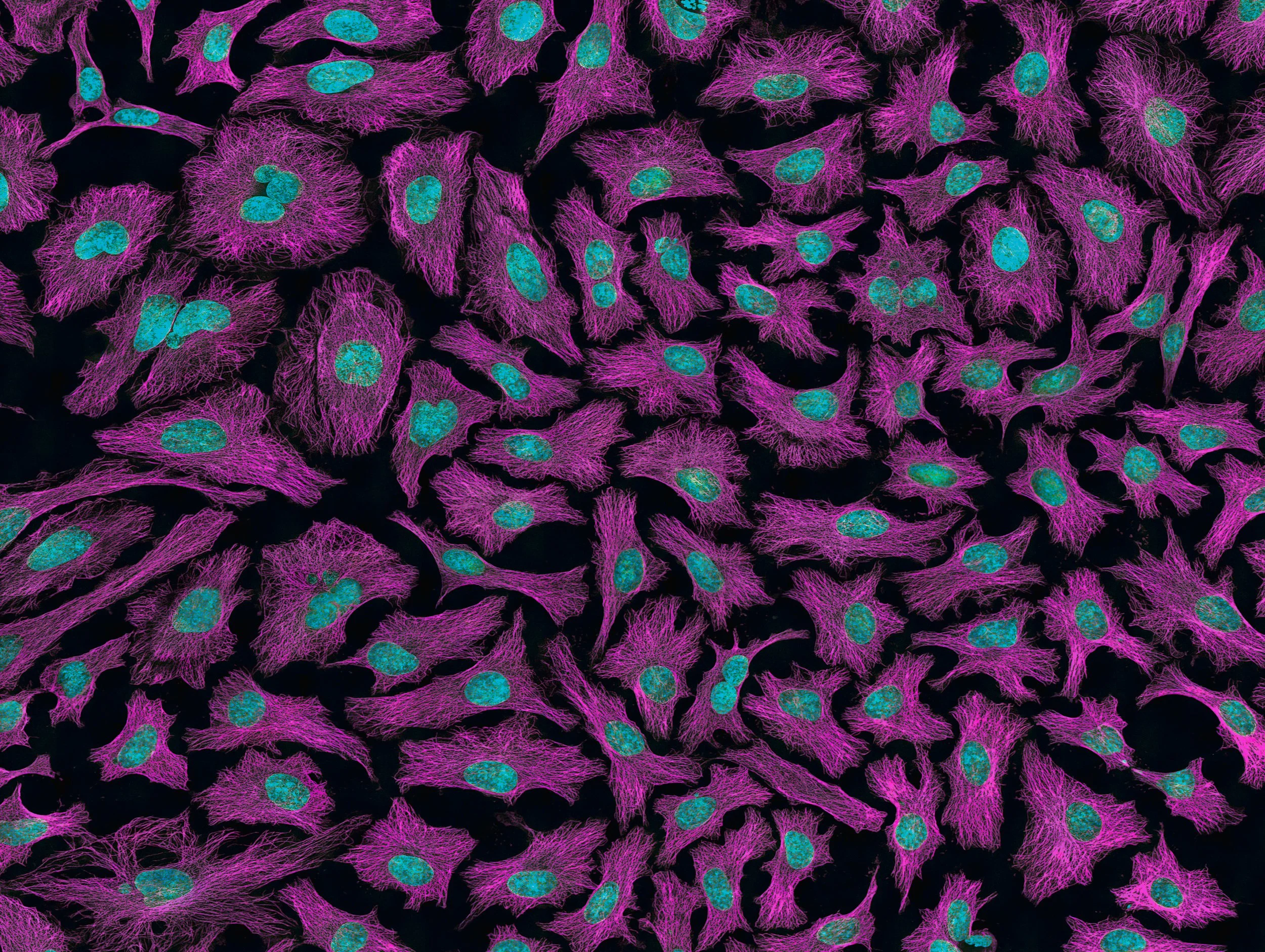 What To Know About Peptides