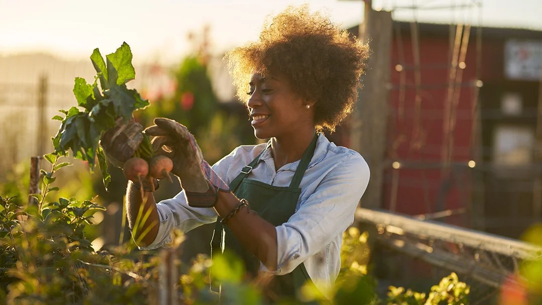 A Biblical Diet Plan for Modern Life: 7 Days of Eating the Way You Were Designed To
