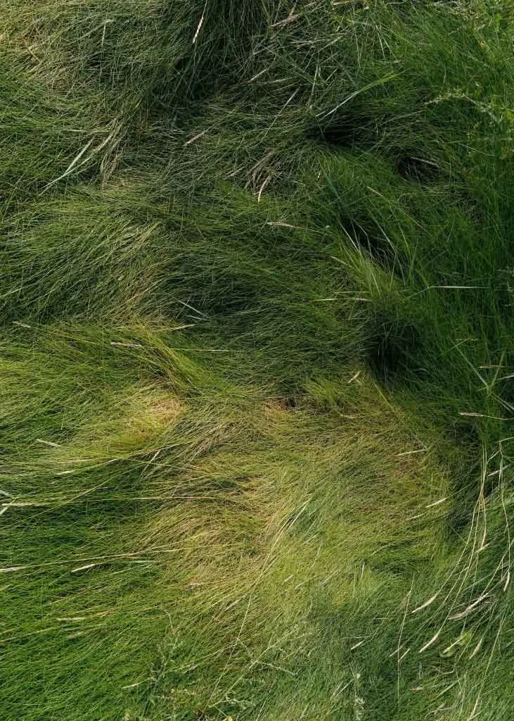 Tick Season Is Over? Think Again