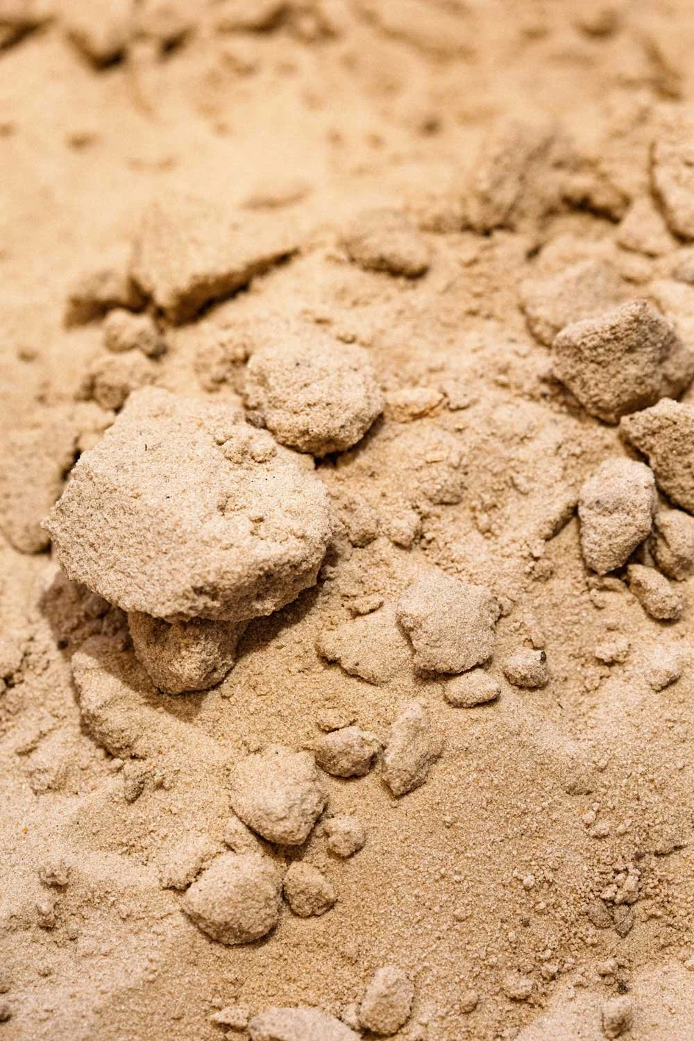 Why Most Protein Powders Are a Scam