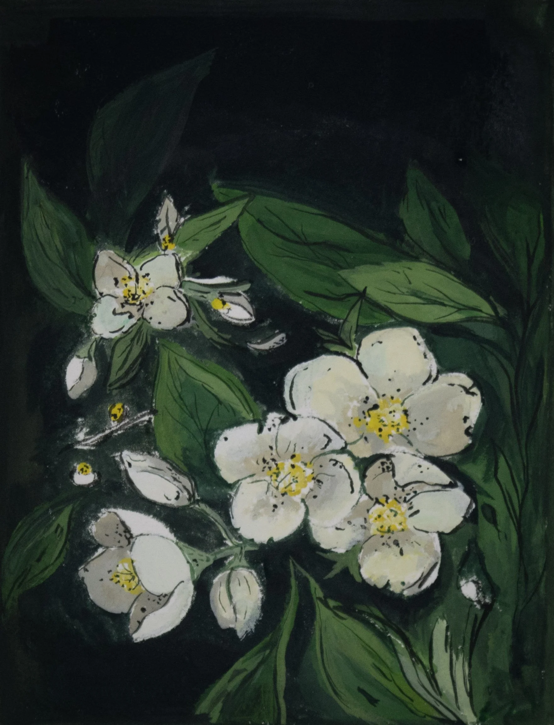 Orange blossom study in gouache.
2025