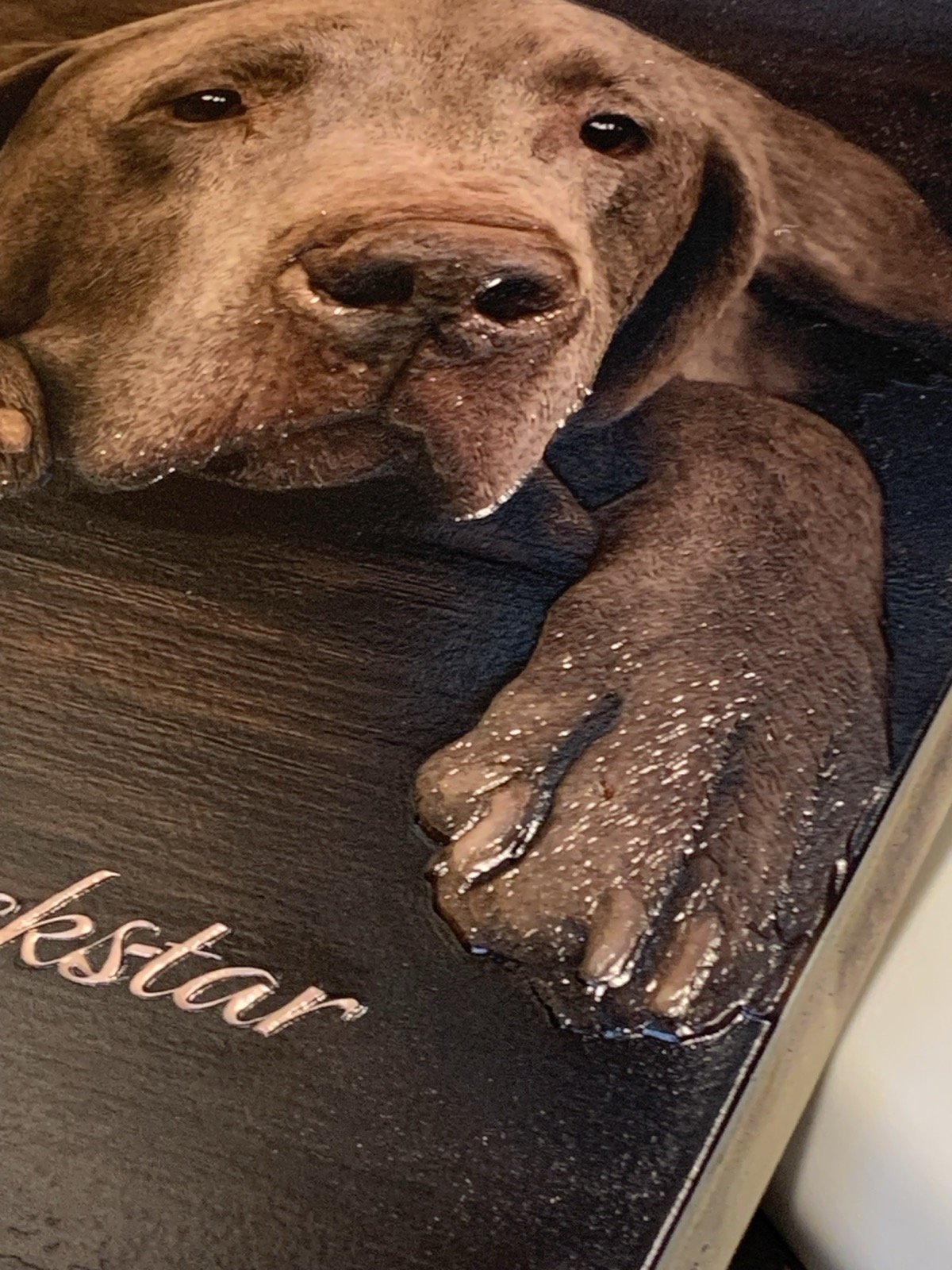 Close-up photo of  a detailed dog with 3mm relief texture