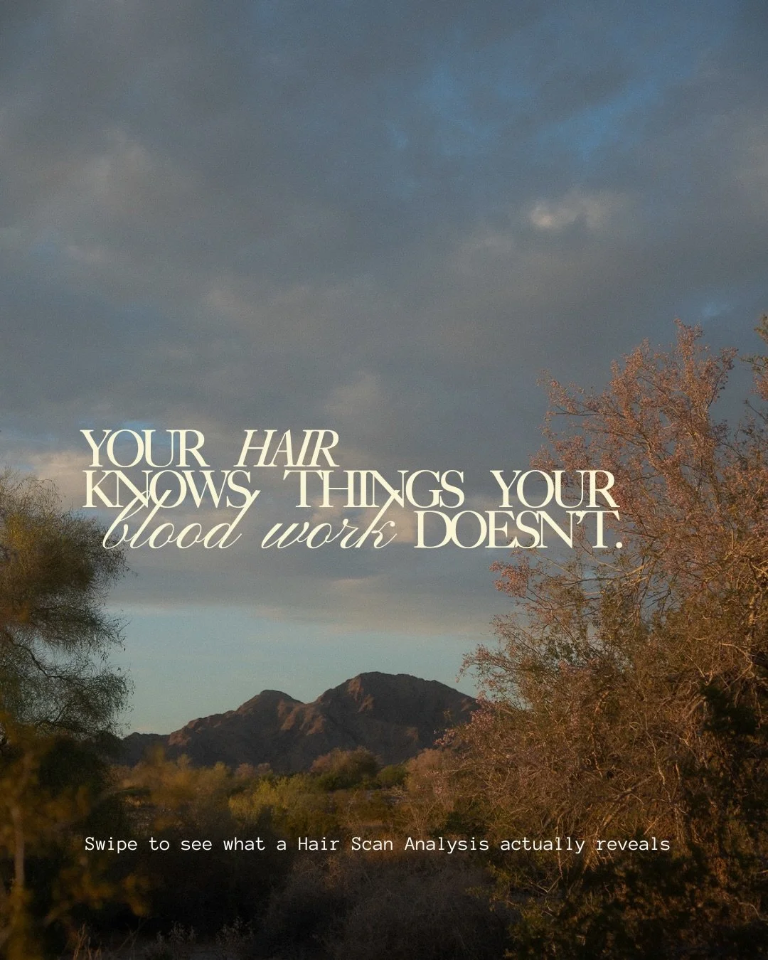Your symptoms are communication. Your hair holds the receipts. 🧾

Reserve by Phone | 928.342.8750
Reserve Online | THEREGIMENCLUB.COM

#rootcausetesting #theregimenclub #holistichealth #labs