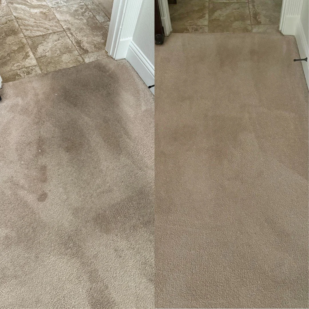 Before and after carpet cleaning by True Renewal in Hill Country — stains and dirt removed for a bright, renewed carpet finish.