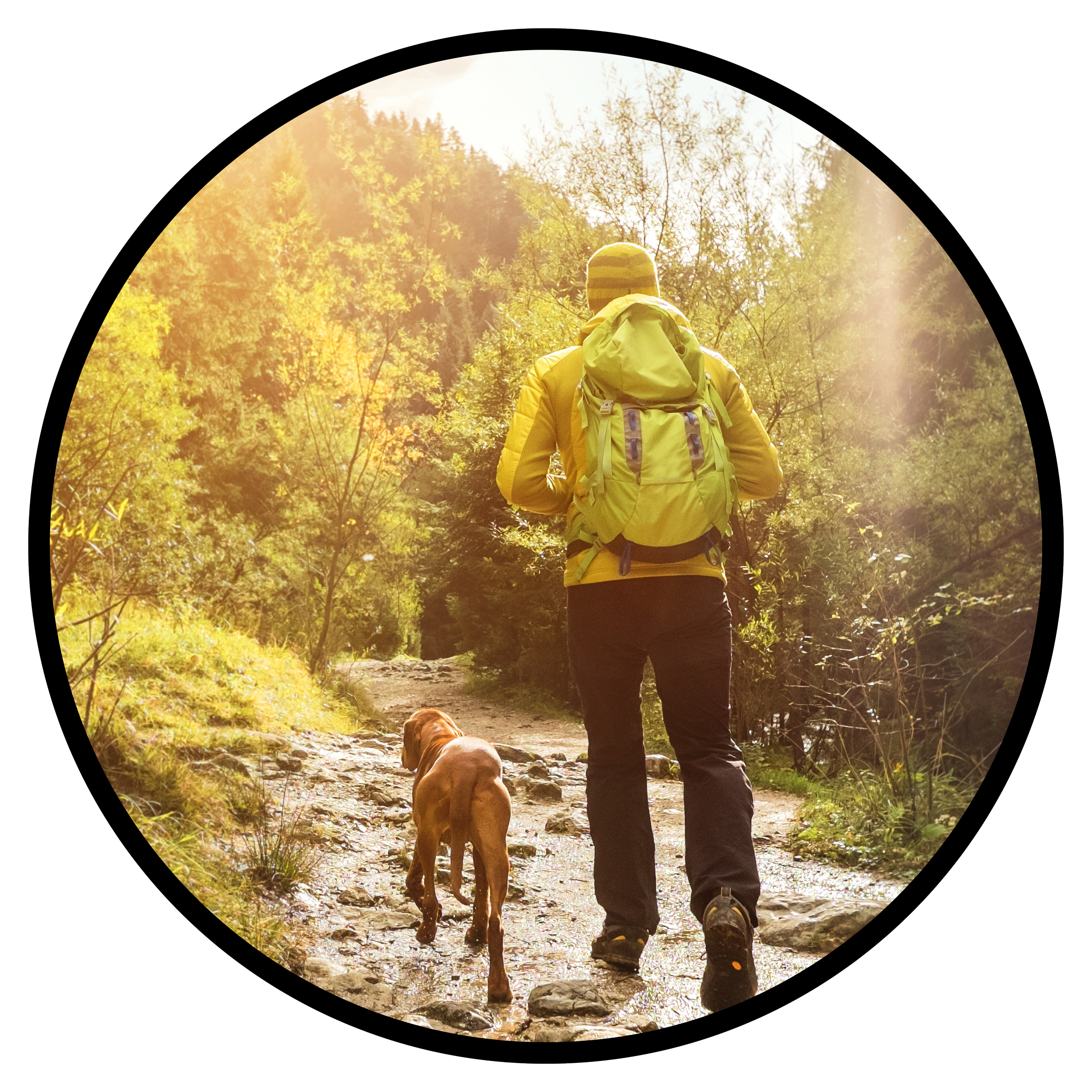 A person walking with a dog in a forest during autumn, seen through a circular window or porthole.