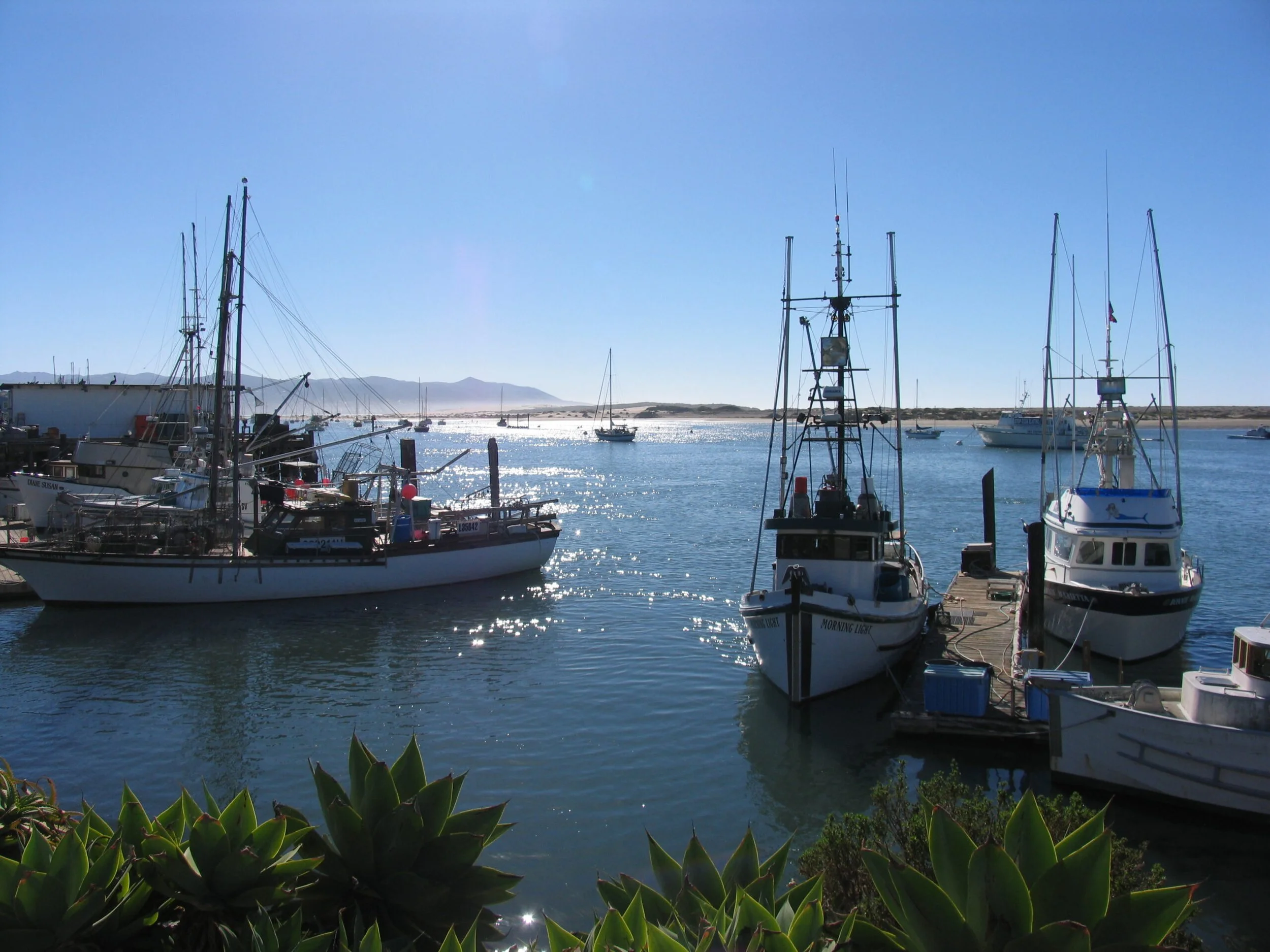 Visit Morro Bay