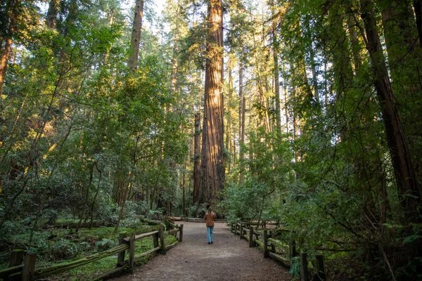 Visit Santa Cruz County