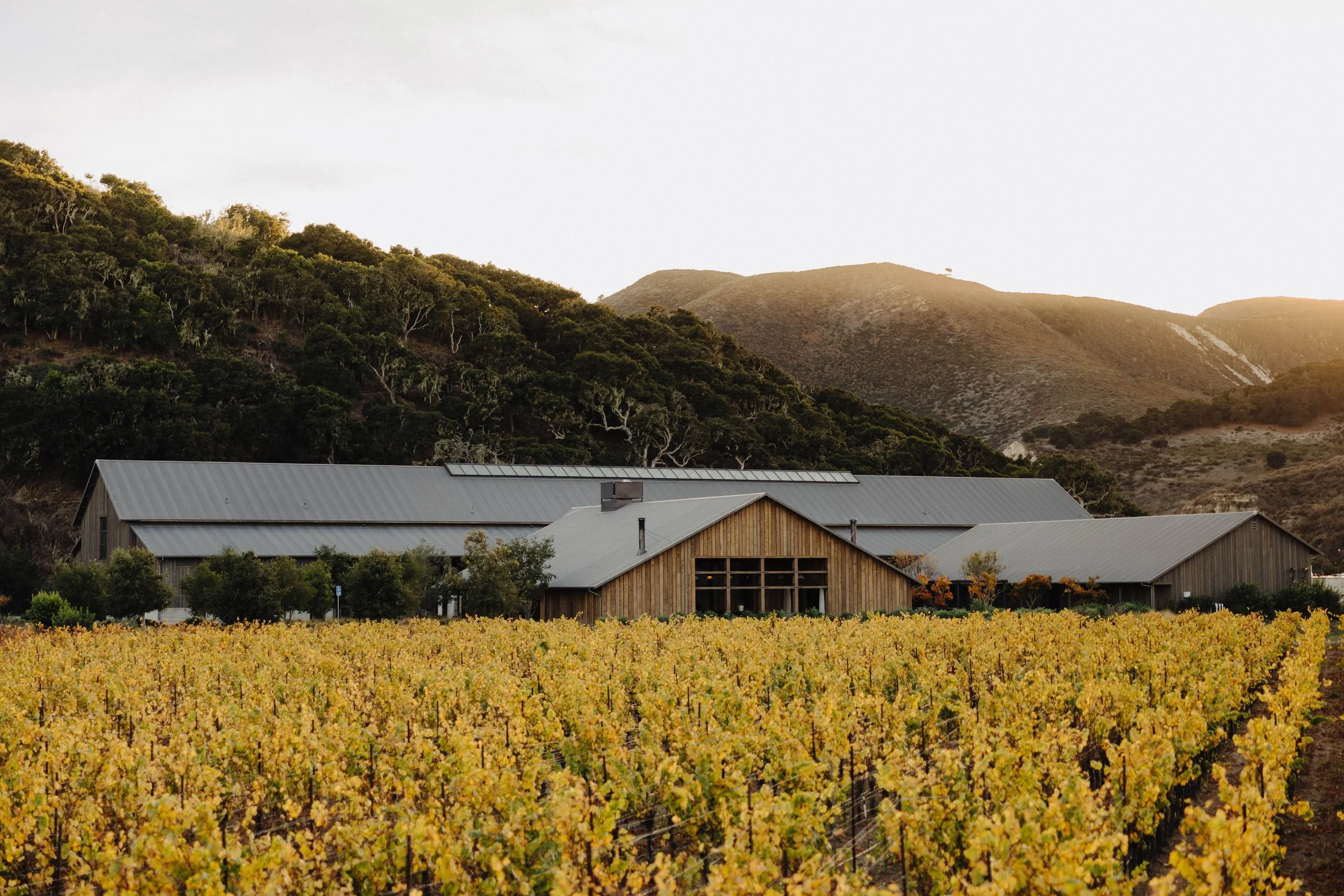 Santa Ynez Valley