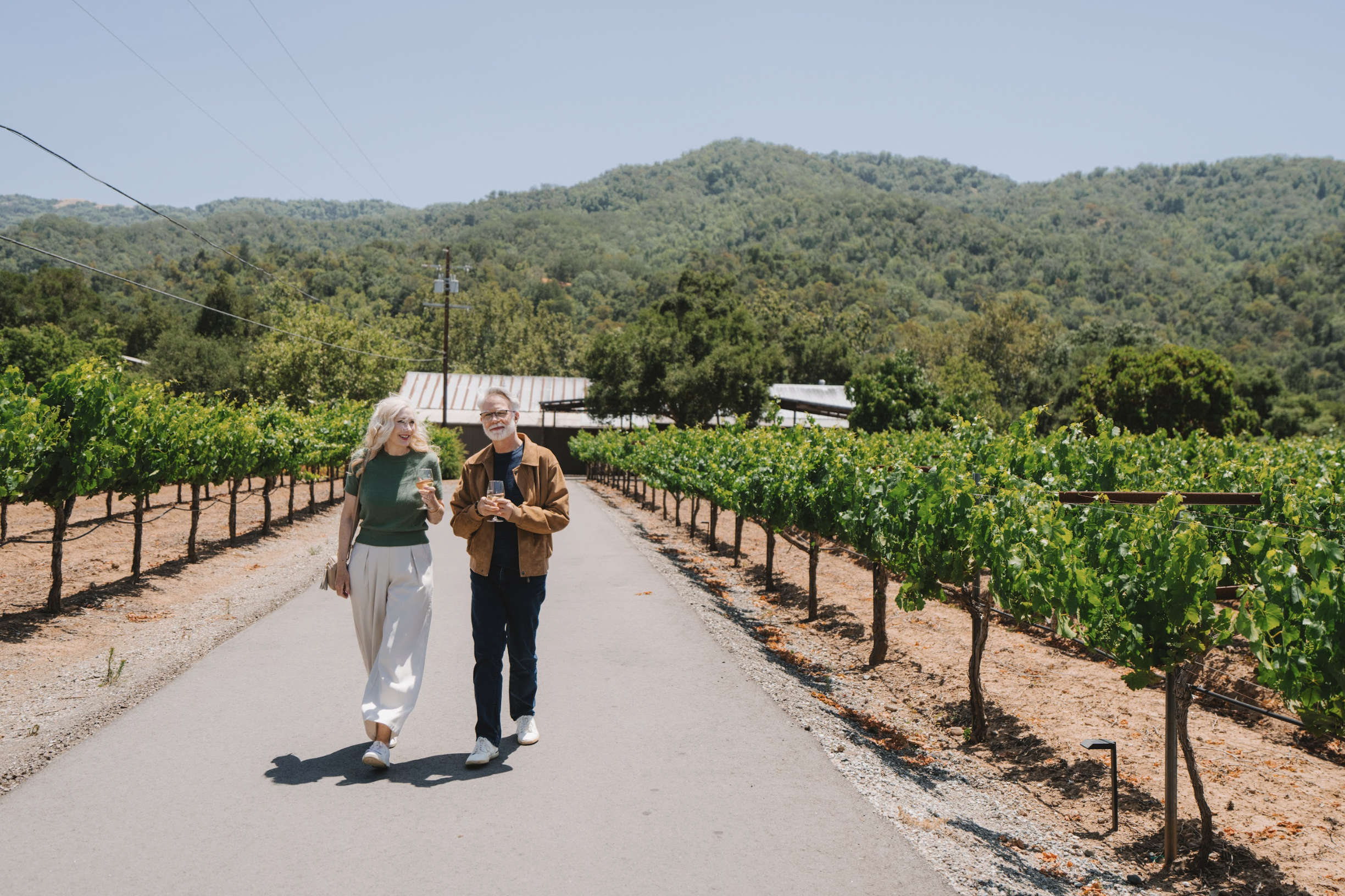 Solis Winery