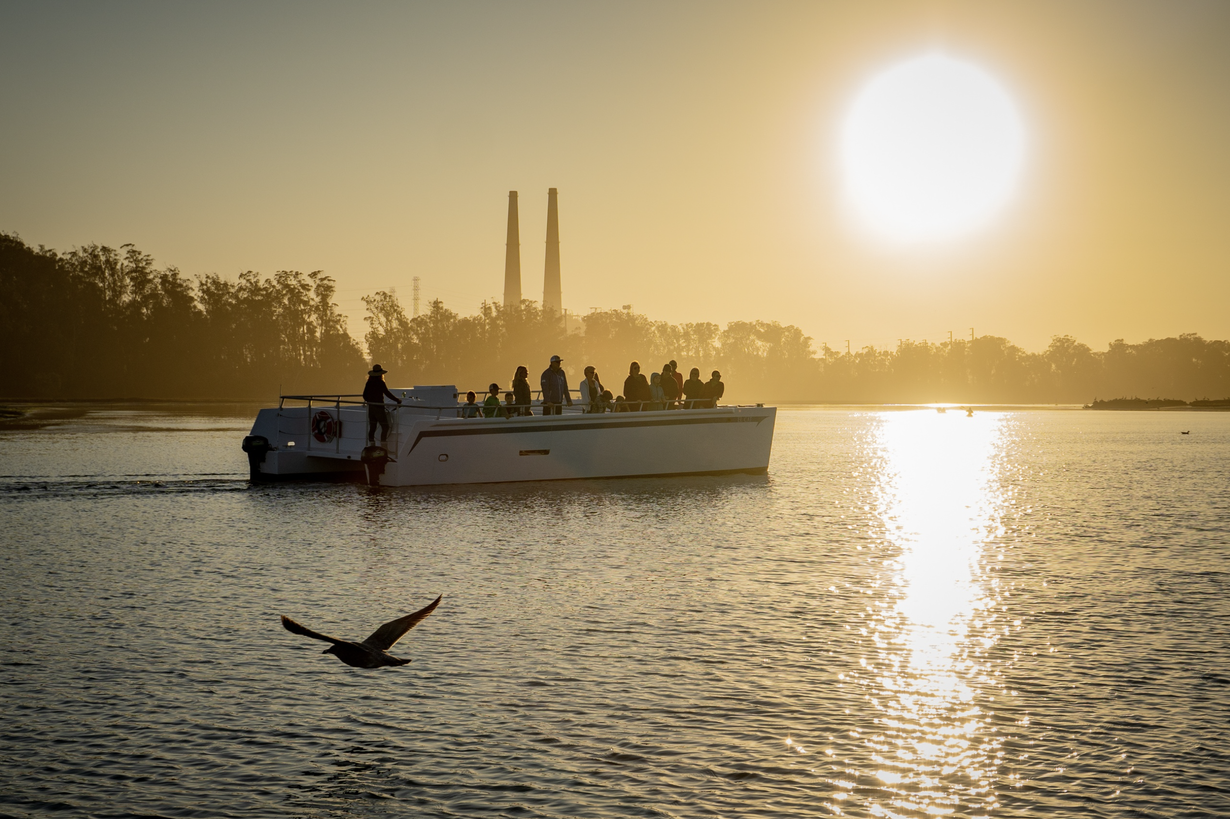 Monterey Bay Eco Tours