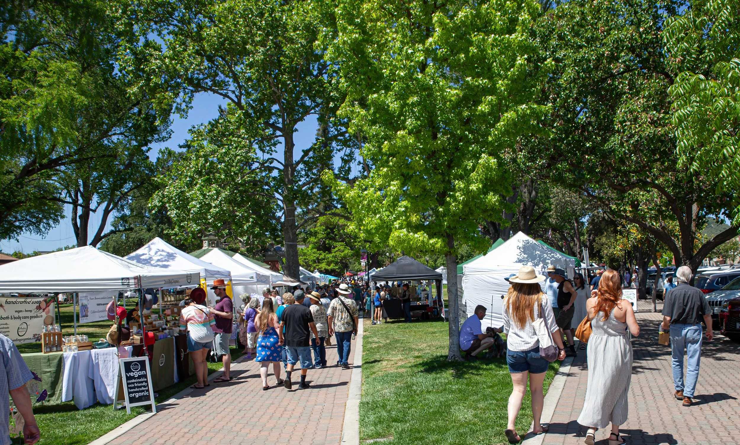 Paso Robles Olive and Lavender Festival