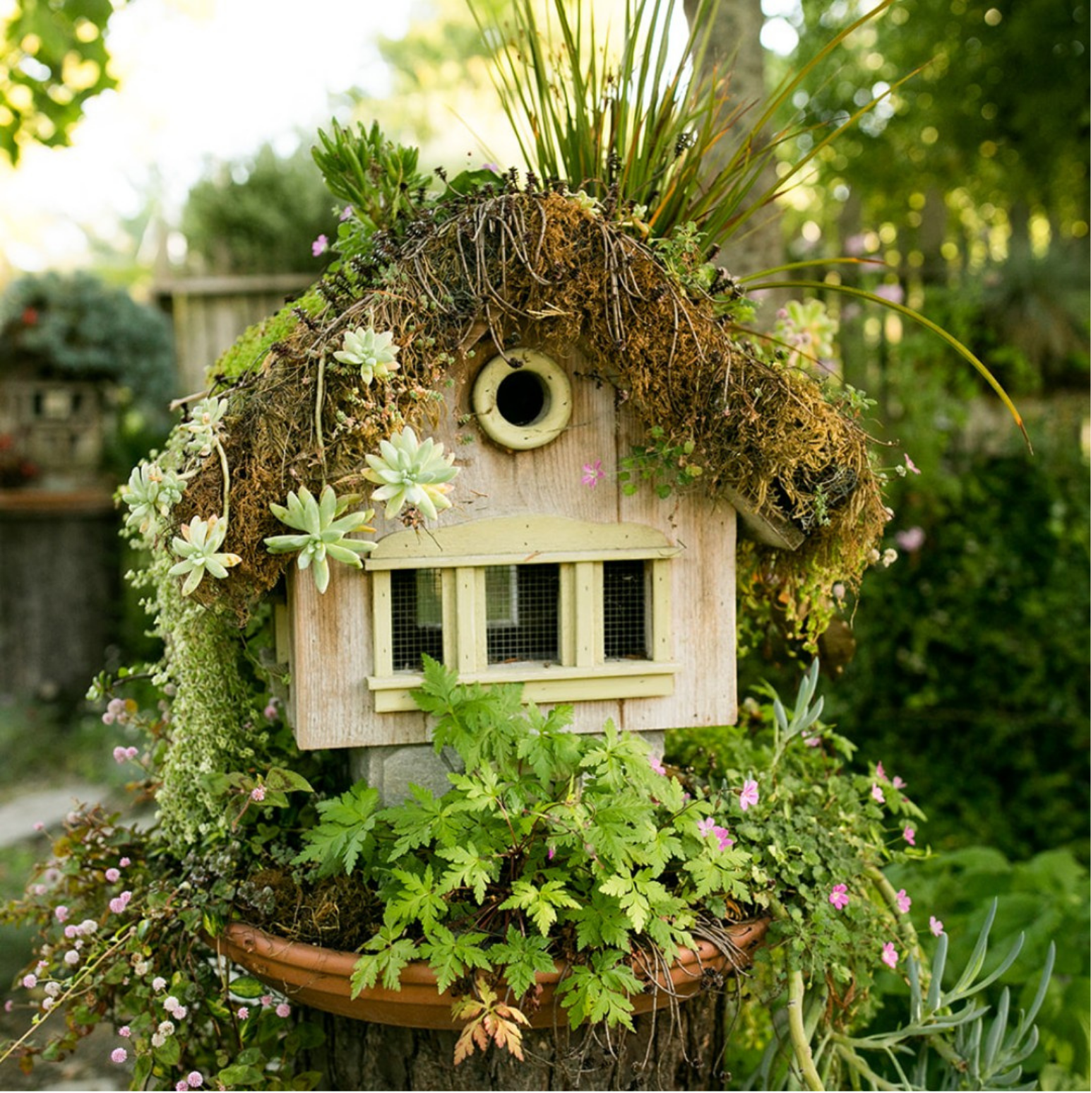 Succulent Redwood Birdhouse Workshop