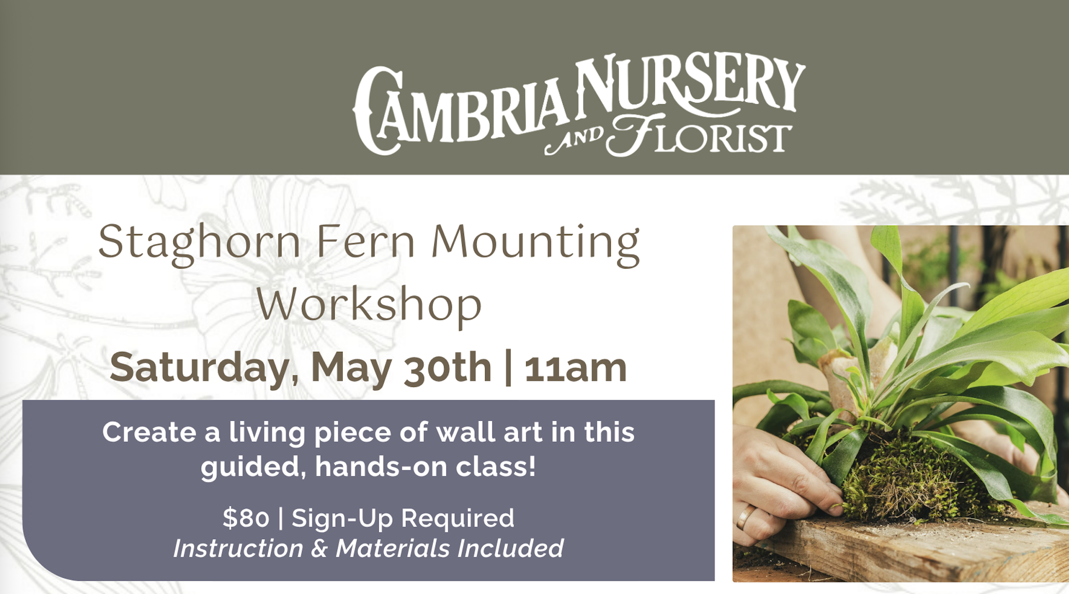 Staghorn Fern Mounting Workshop