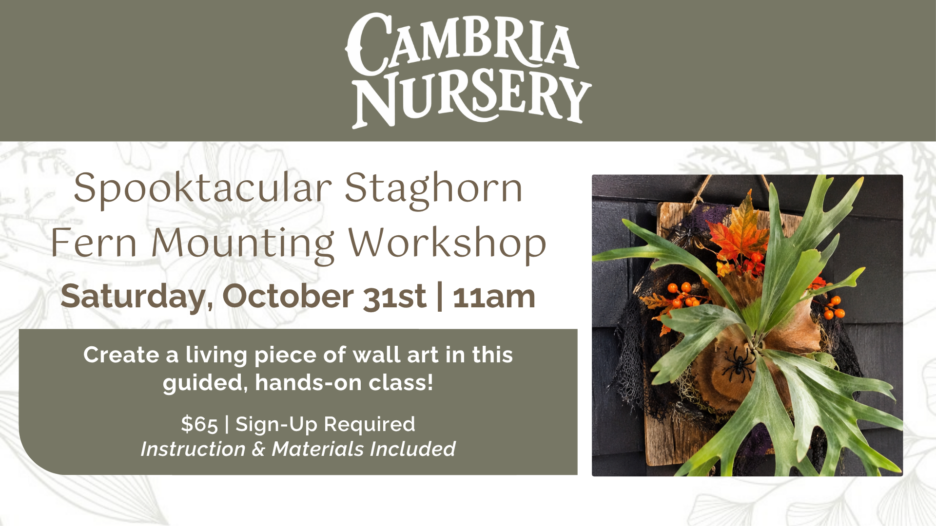 Spooktacular Staghorn Fern Mounting Workshop