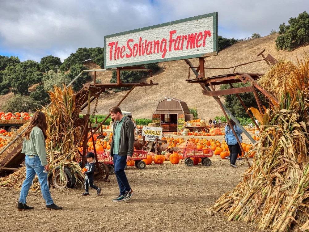 The Solvang Farmer Pumpkin Patch
