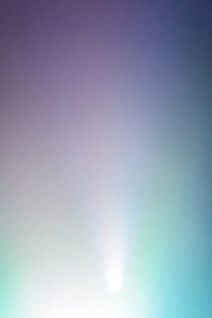 C-can-test-1-684x1024.jpg