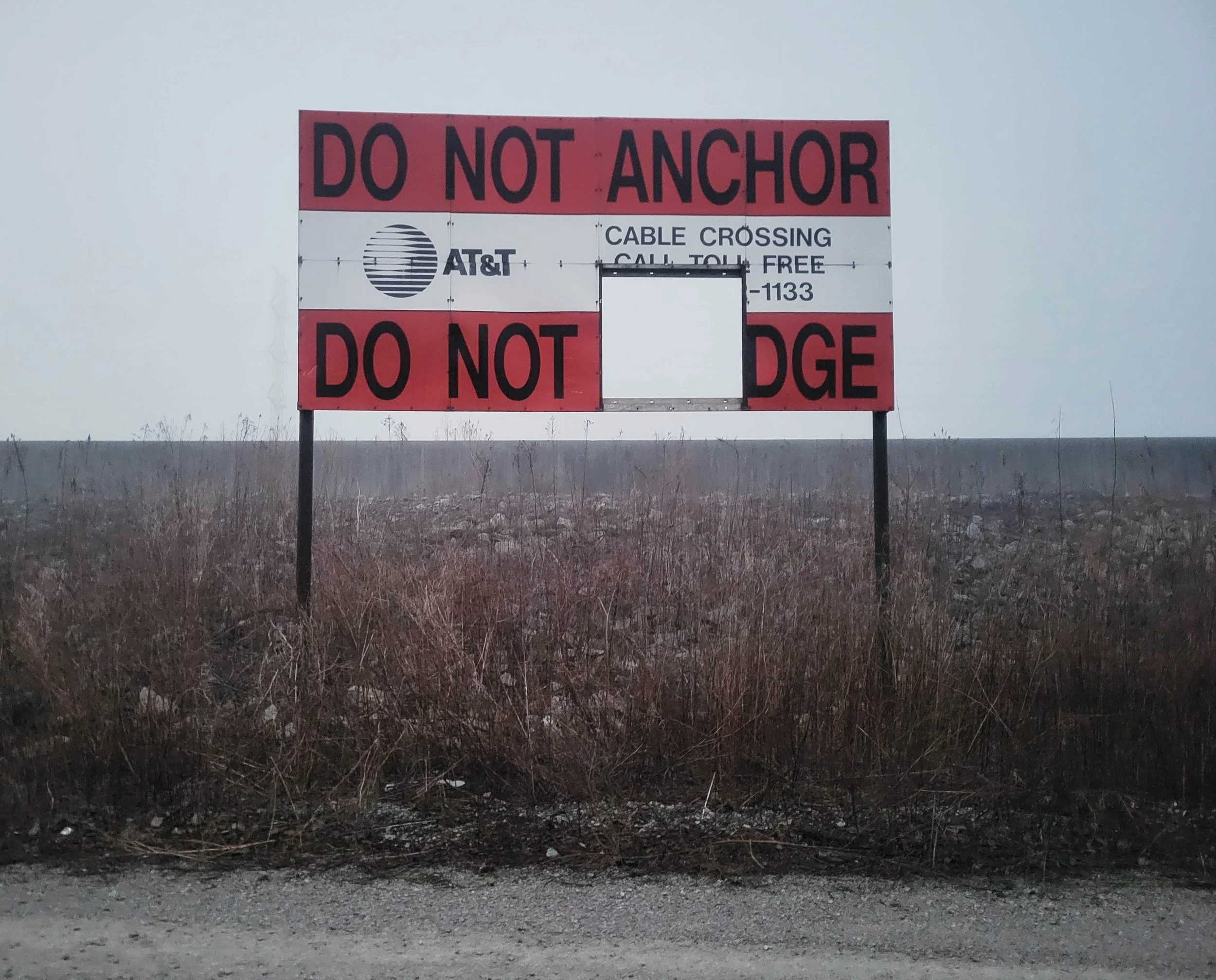 20260219_062818.jpg