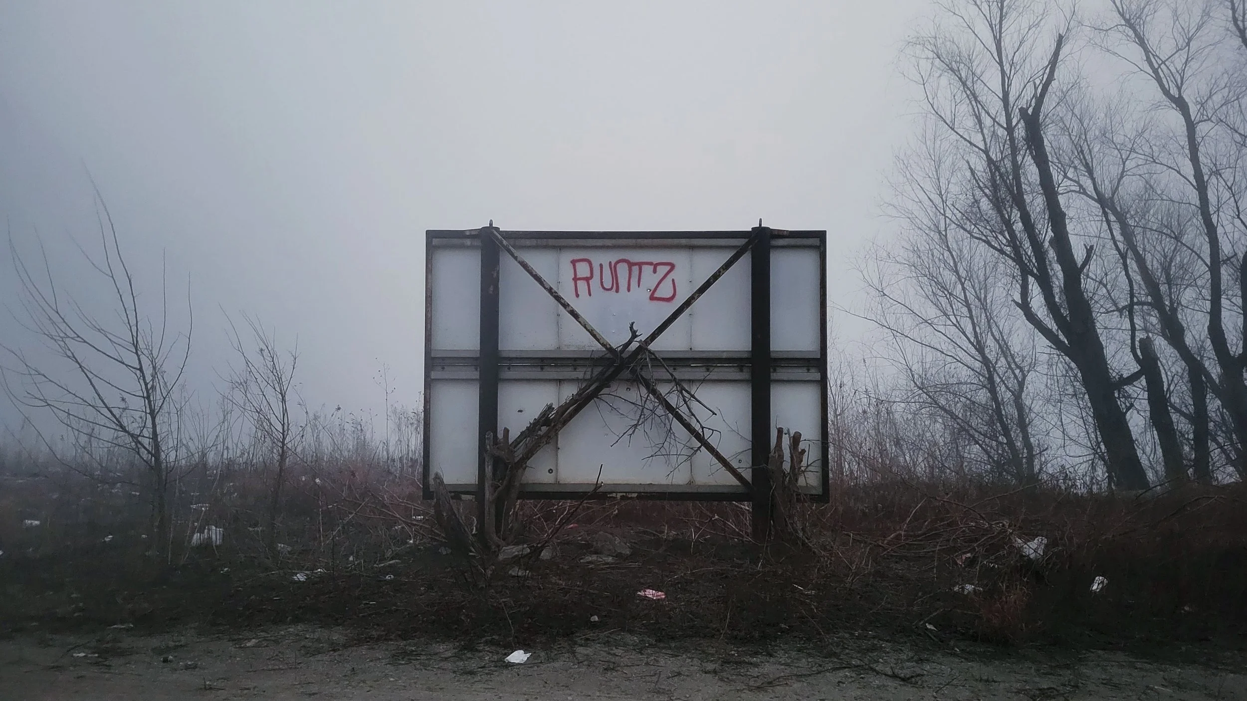 20260219_062652.jpg