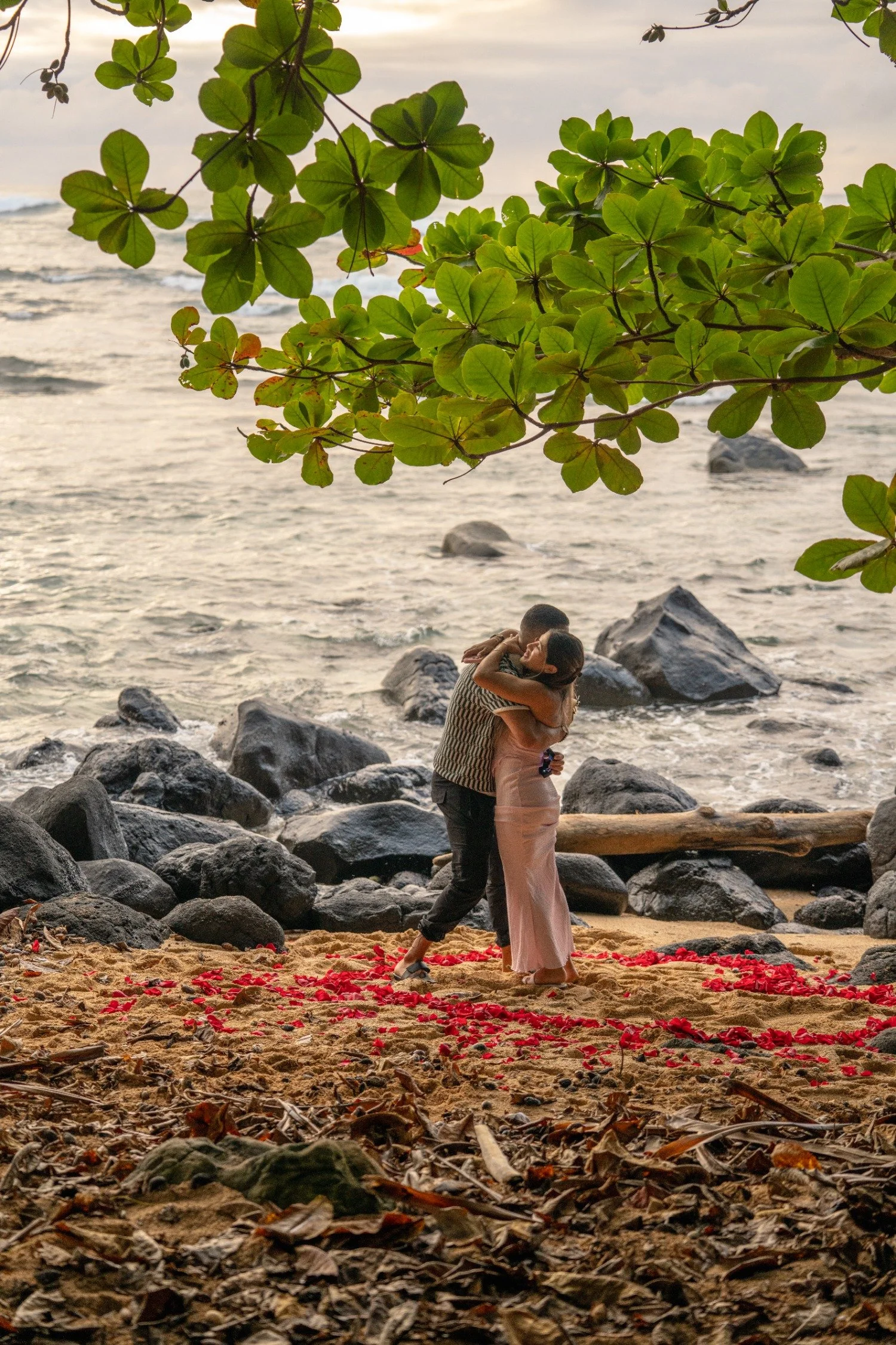 Proposal 9-25-6-convertido-a-grande.jpeg