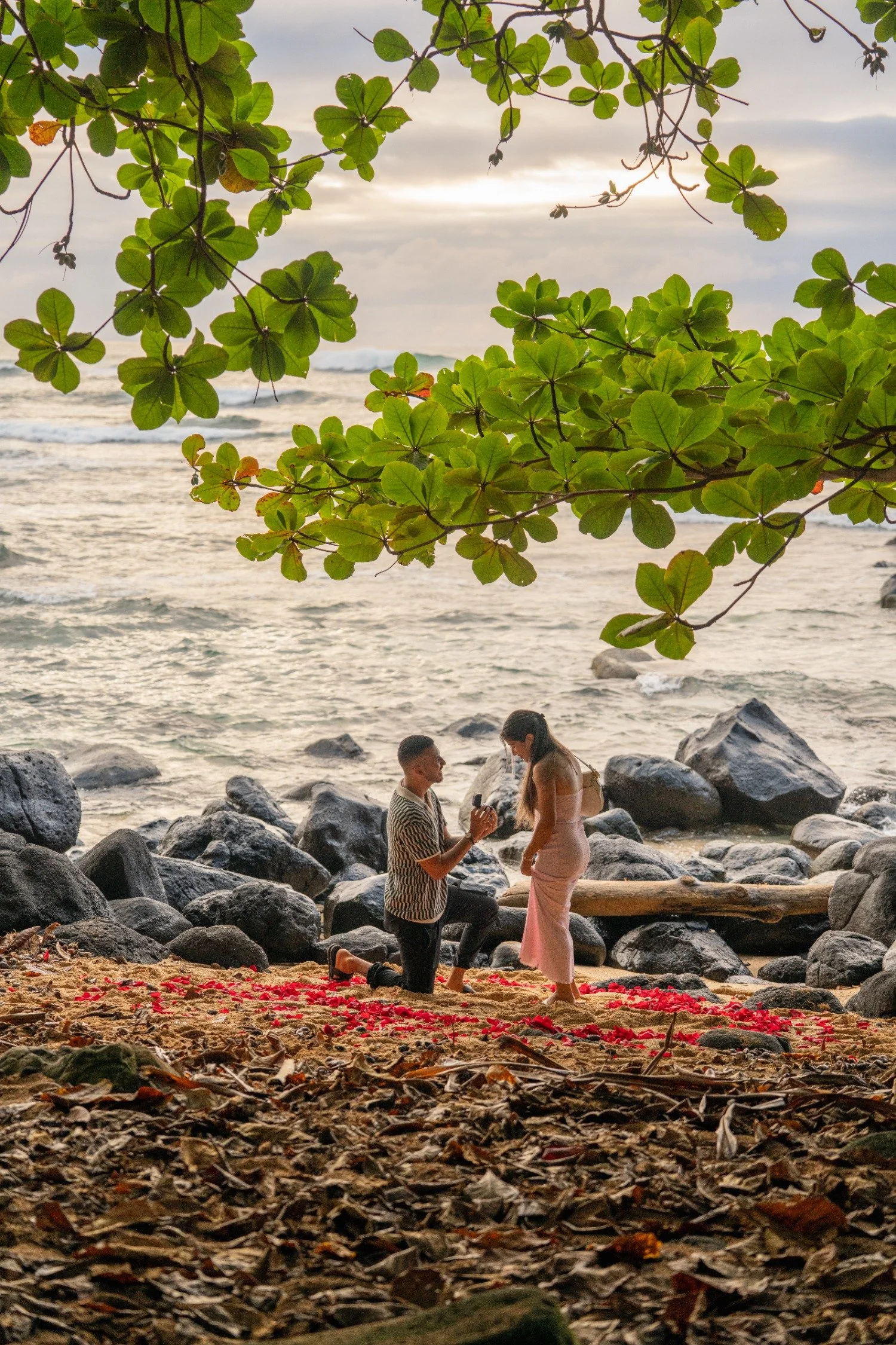 Proposal 9-25-5-convertido-a-grande.jpeg