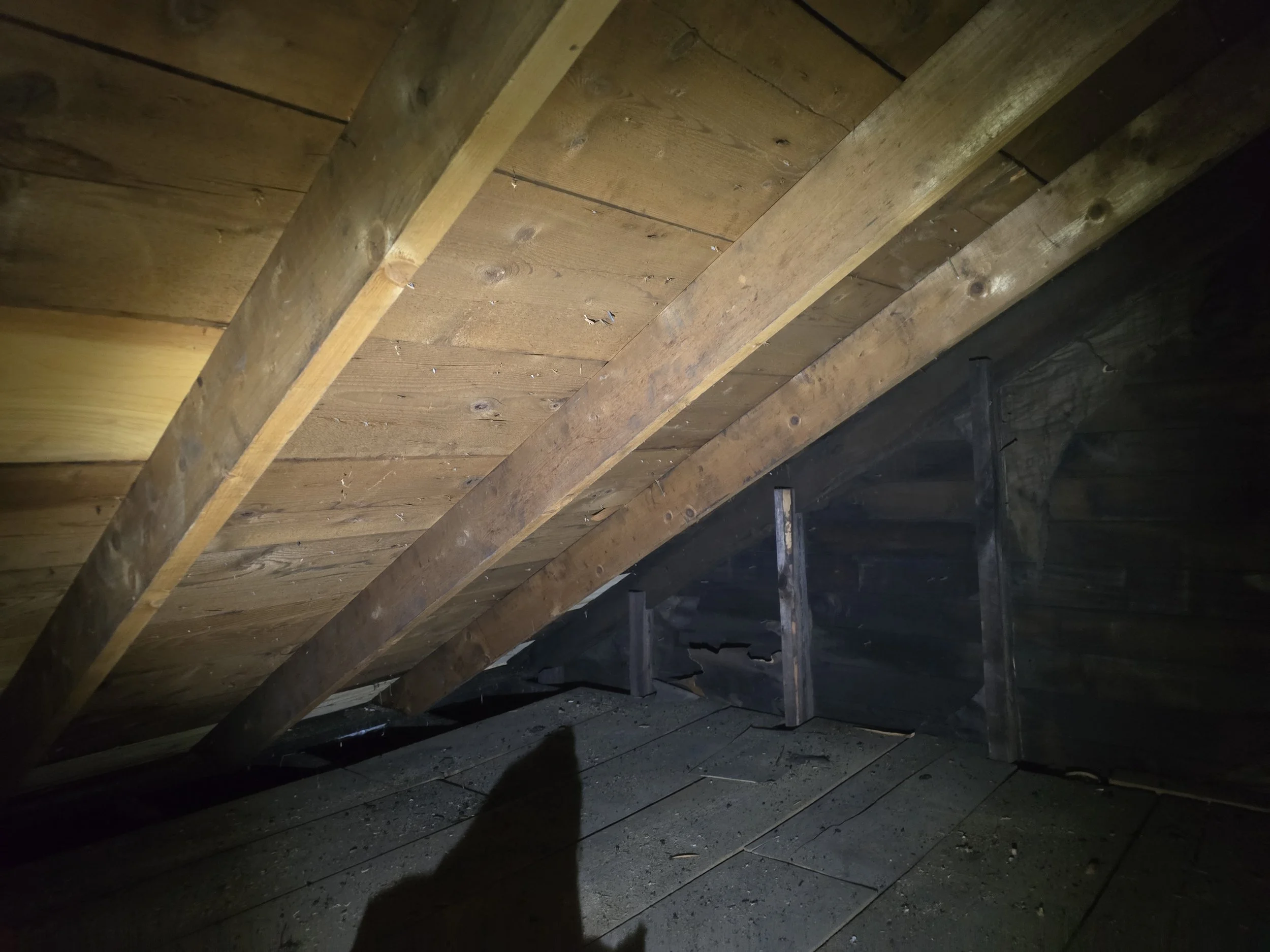 Attic Insulation job
