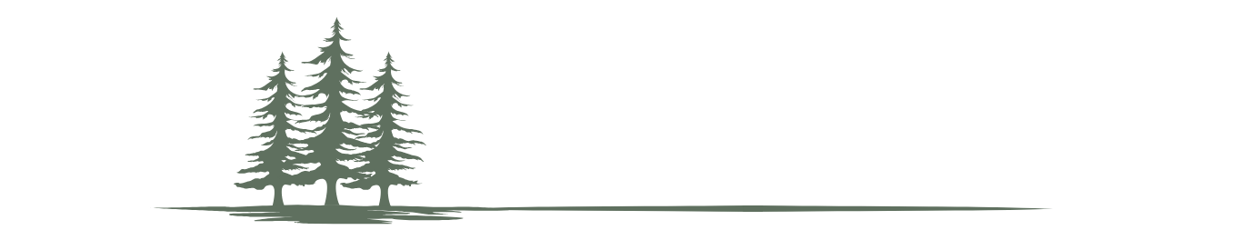 THE LIFE COACH STEPH