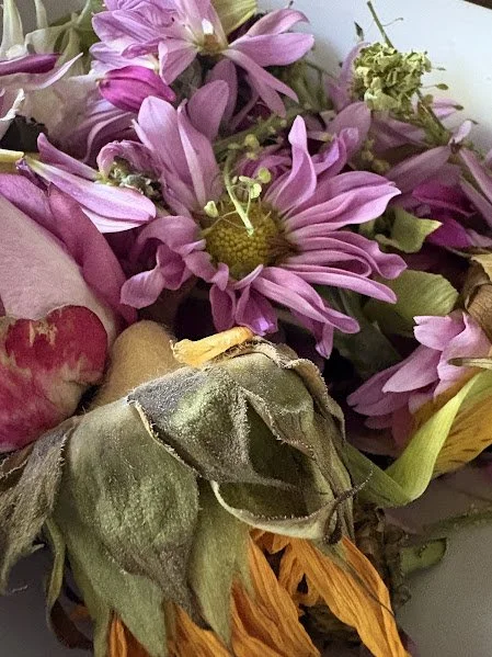 The Pink Dolphin Attunement